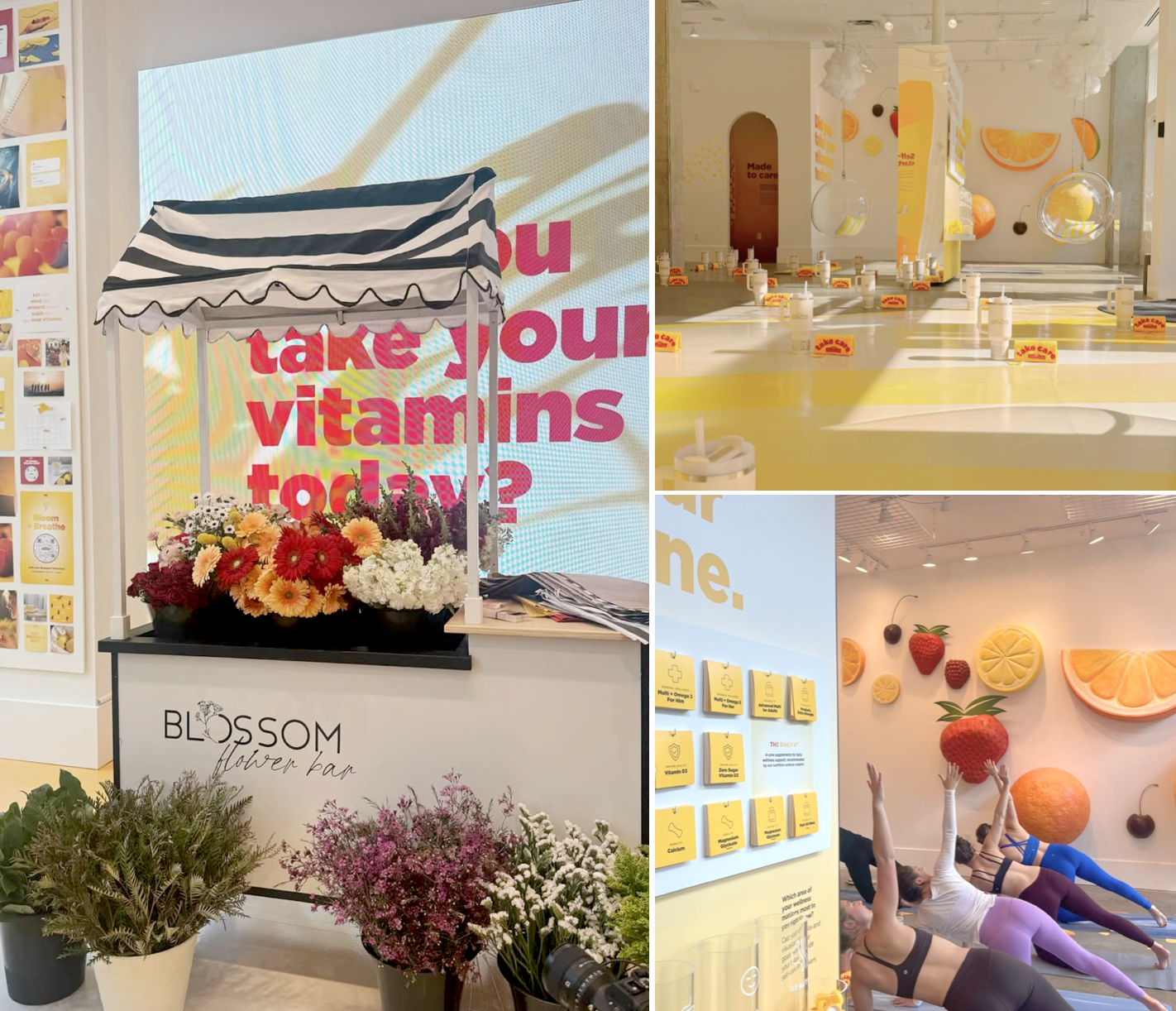 curated community events