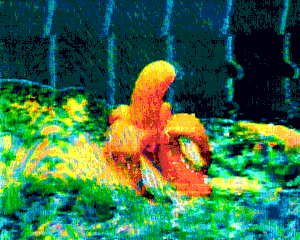 ina5.gif
