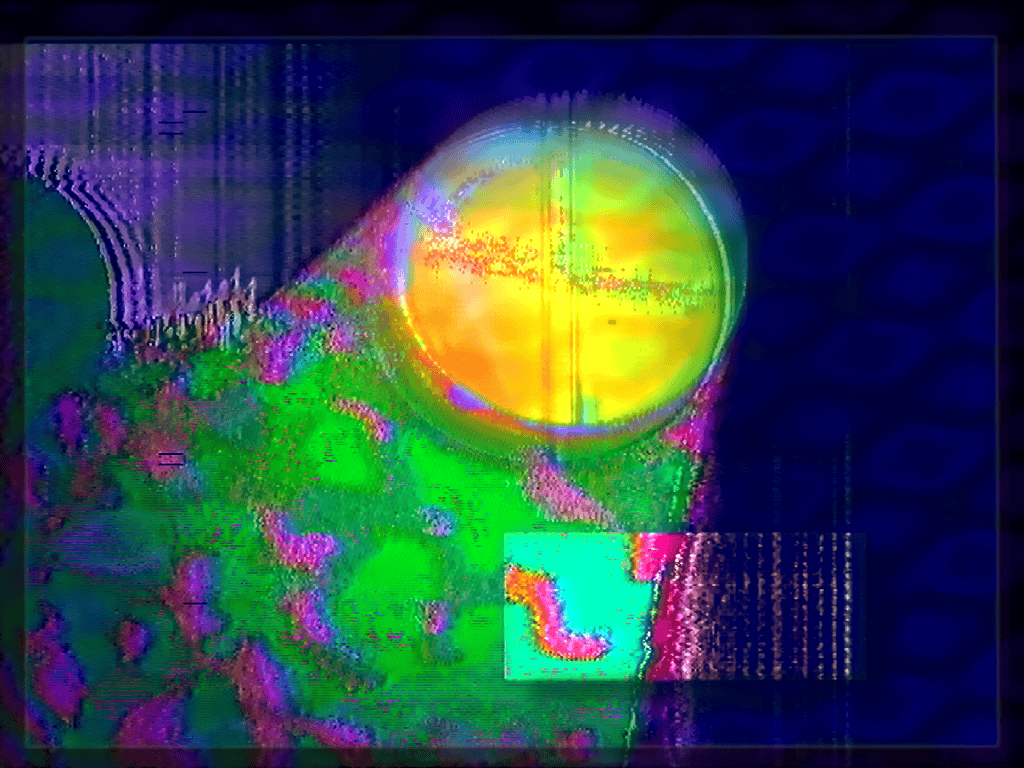 klaus2.gif