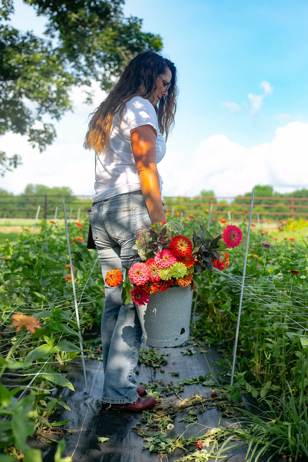Buckets of Bloom