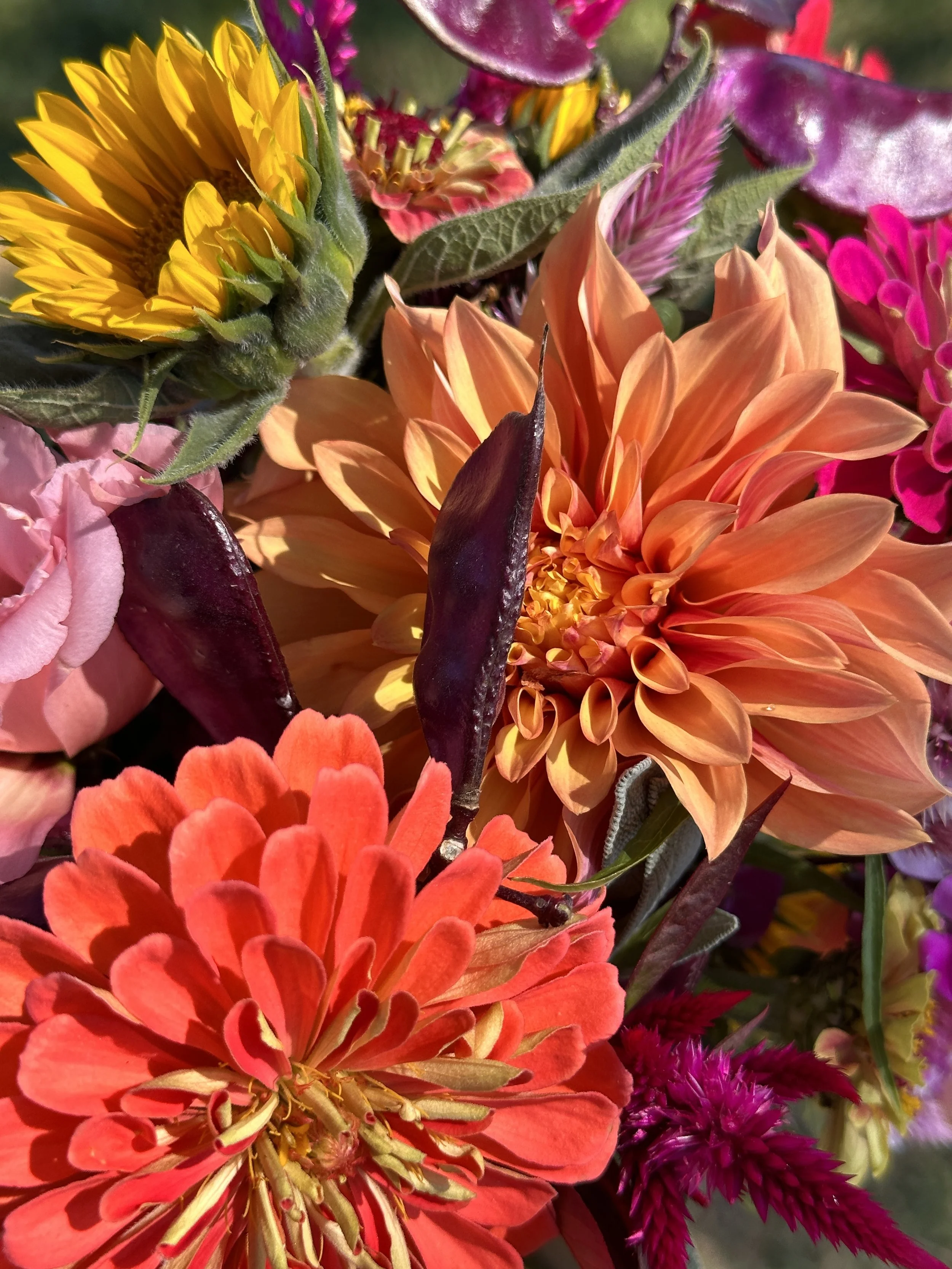07E3ACDE-CA32-42E3-BE58-61A462236DD4.jpeg