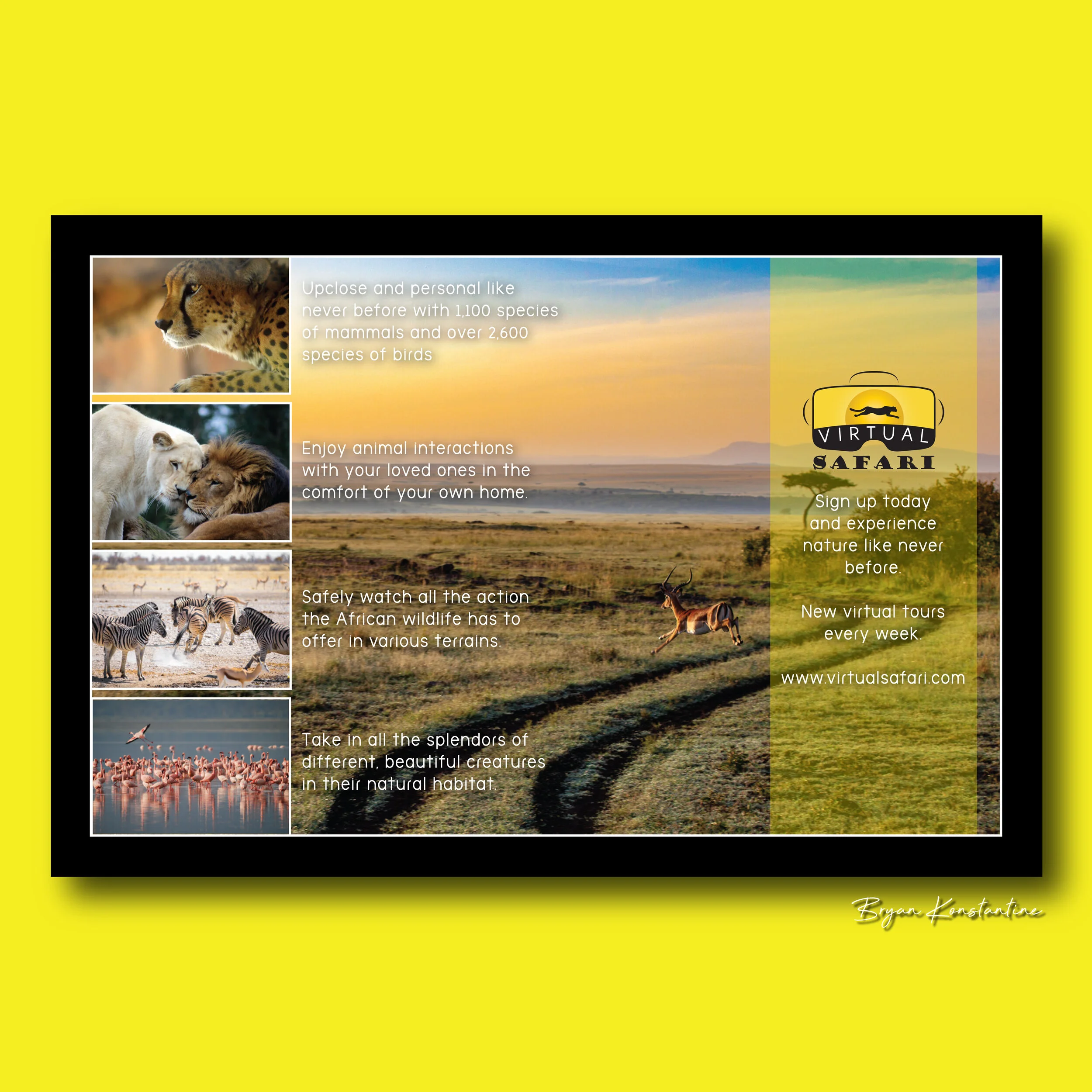 Virtual Safari Spread - Yellow-3.jpg
