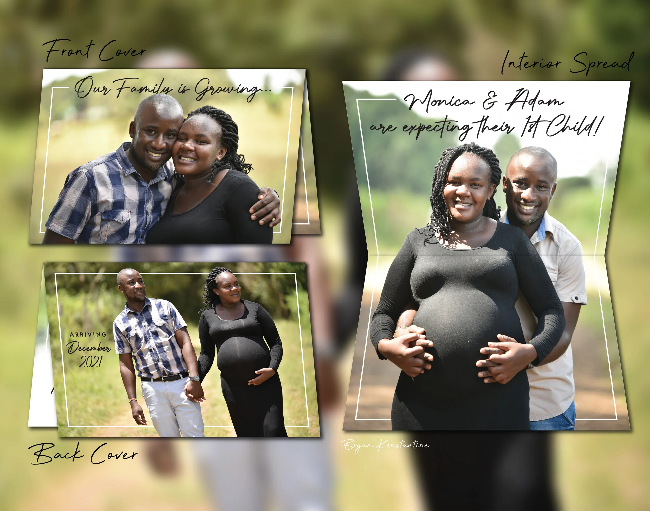Pregnancy Announcement v01 - Spread 2.jpg