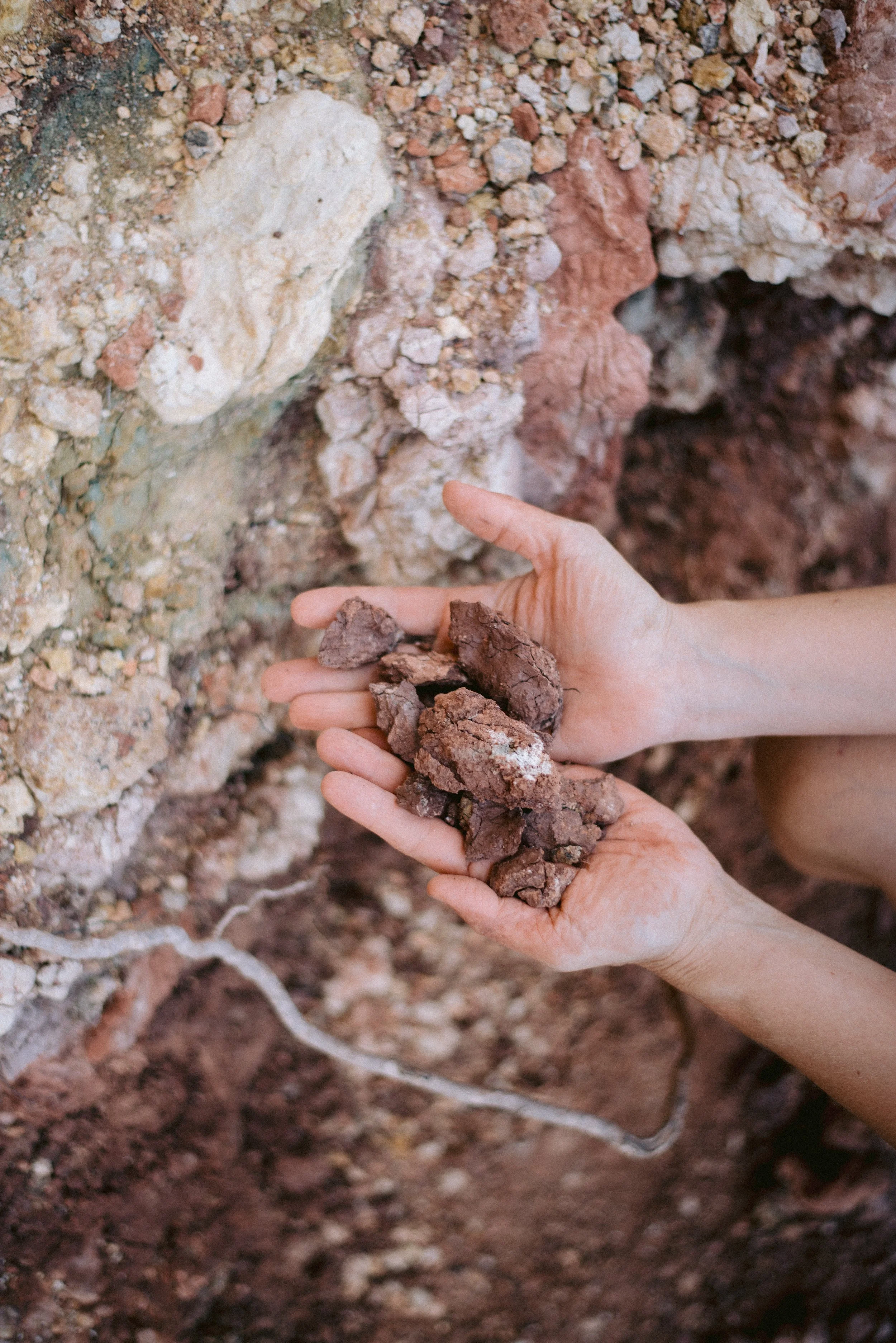 250914-LADIO-wild clay-0131-HIRES 2.JPG