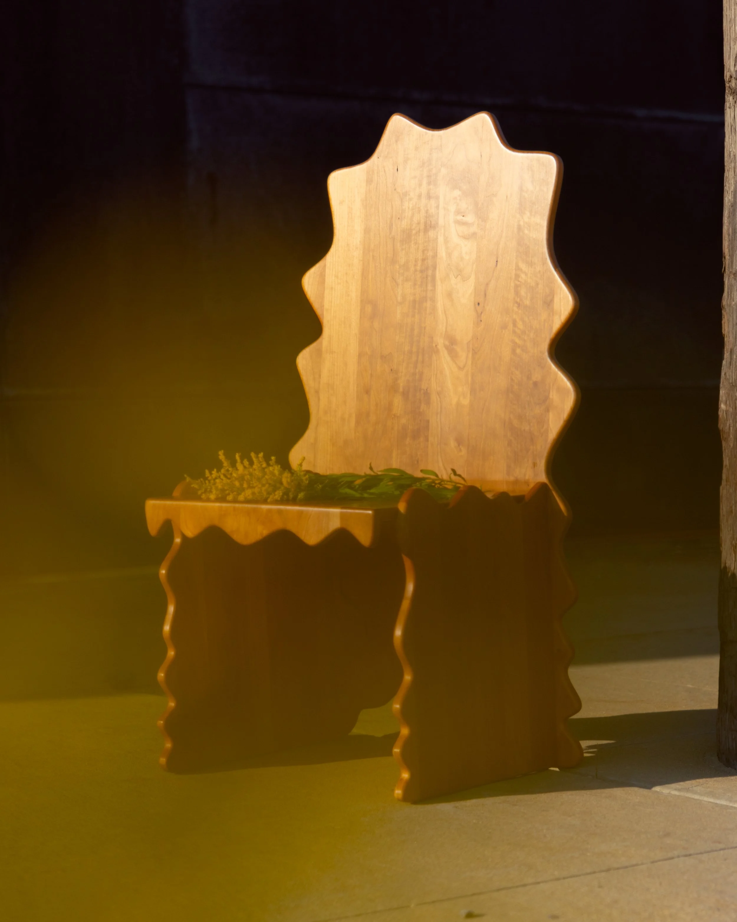A wooden carved decorative object with curves, illuminated by warm lighting, placed on a surface with plants nearby.