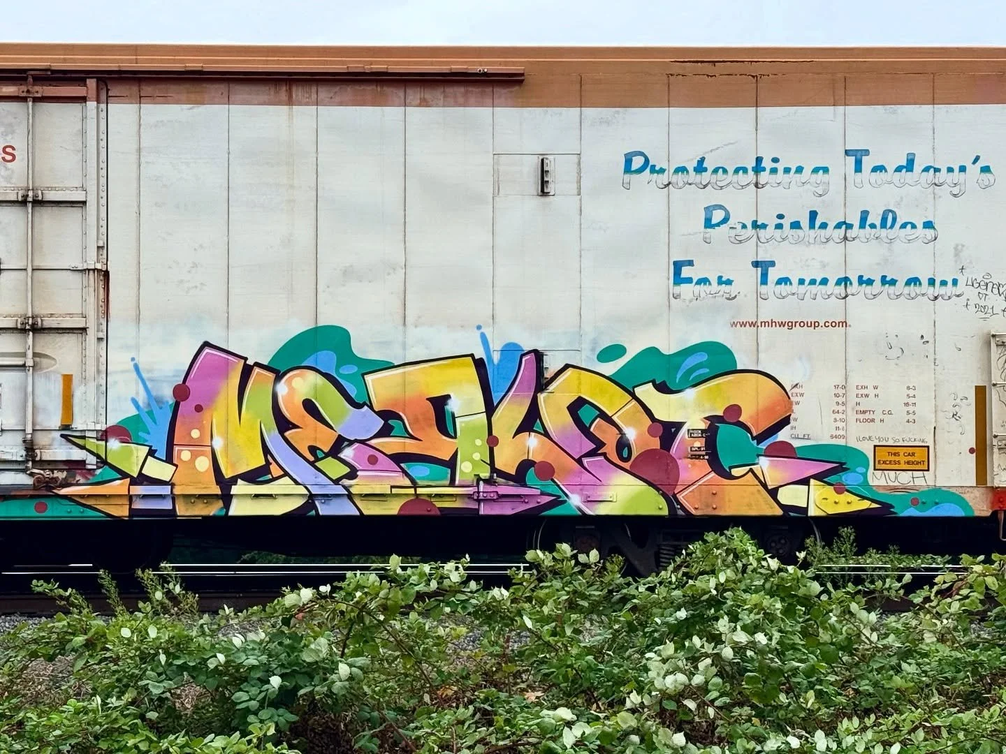 🍭 🍭 🍭  @aerub_ 

#train #graffiti #merlotism #aerubgraffiti