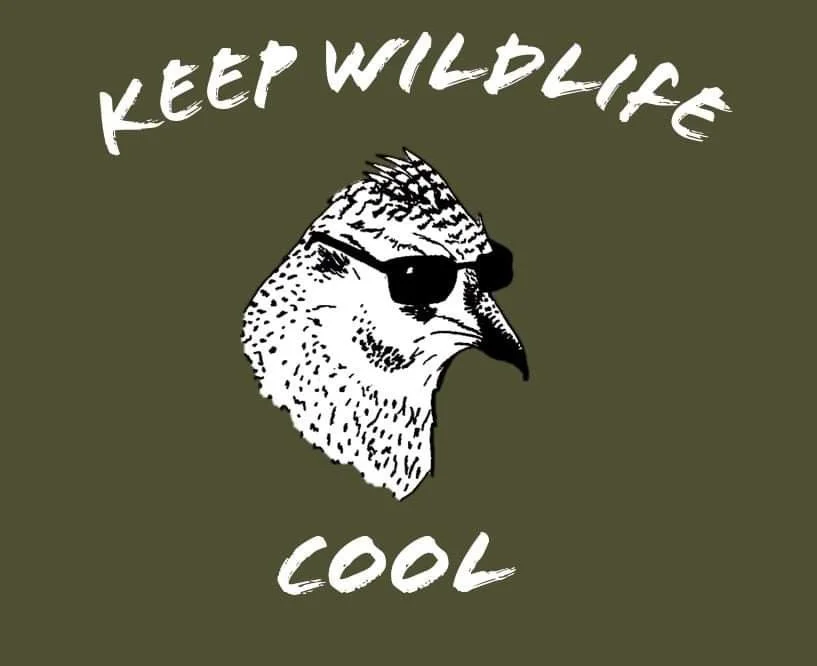 Miss out on the Koozie?