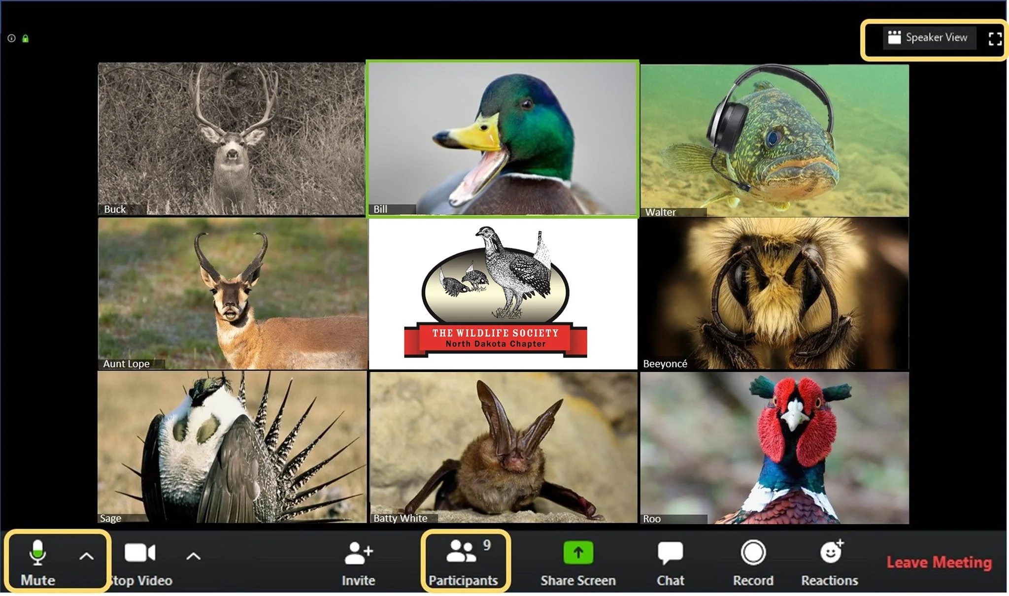 Membership Engagement Working Group is meeting!