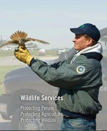USDA-APHIS-Wildlife Services (WS) is hiring 7 positions for Biological Science Technicians