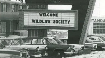 Another Successful Annual Meeting: 2023 Recap