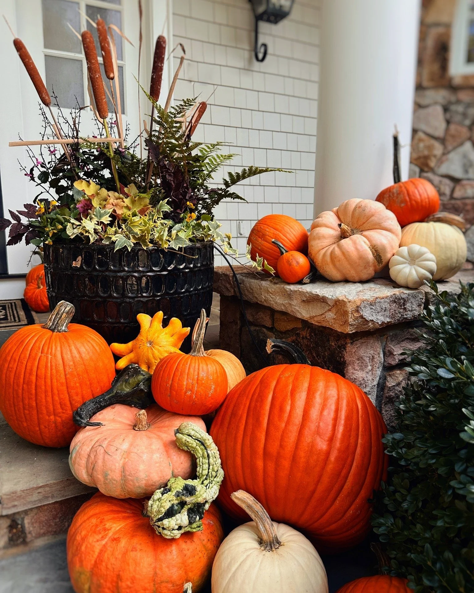 Our Deluxe Pumpkin package makes a BIG impact porch side. Reach out (link in bio) to transform your space with pumpkins π , fall decor π½, and mumsπΌπΈ) galore. 
#annapolismd #annapolislandscaping #annapolishomedecorating #porchgoals #porchpots #po