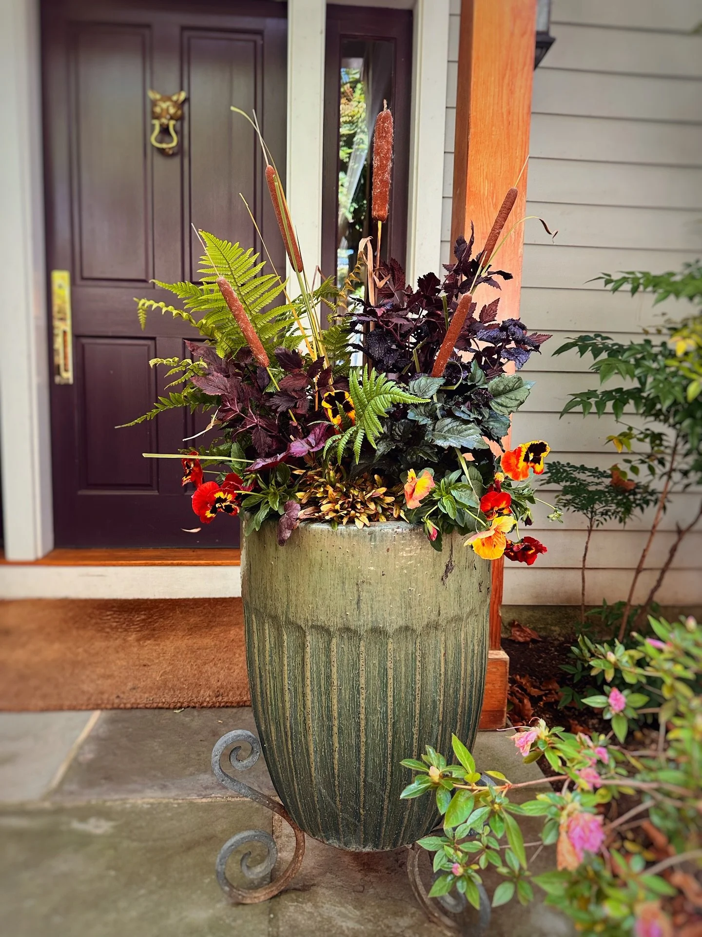 This week’s color play has a mix of rich, plum hues and bright greens to highlight this property’s statement entryway. (After/Before) 
#fallrefresh #containergardening #fallgardening #statemententryway #fallinnaptown #fallinannapolis #md
