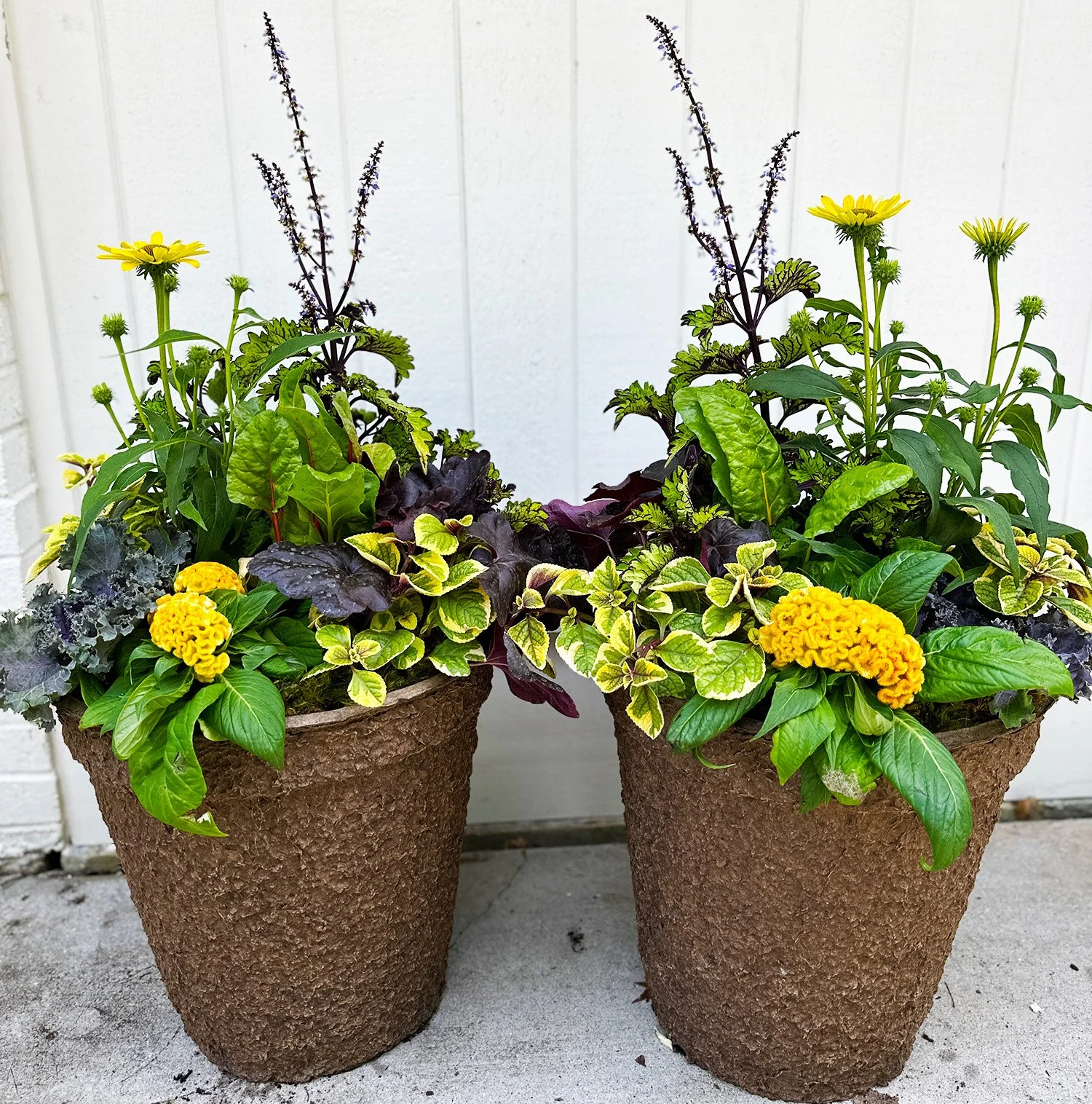 Fall Porch Pots- Single