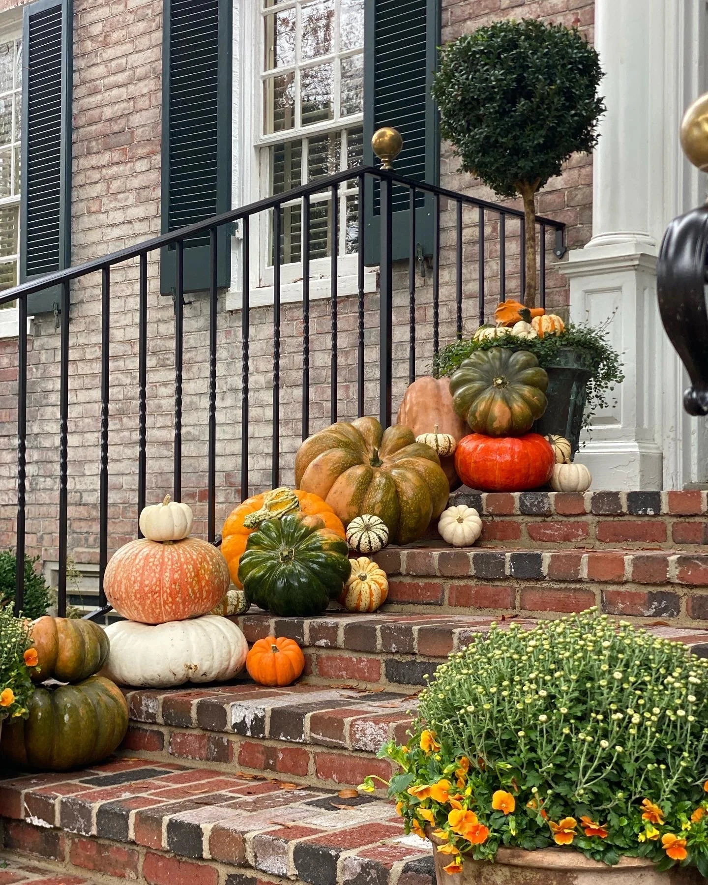 The Great Pumpkin
