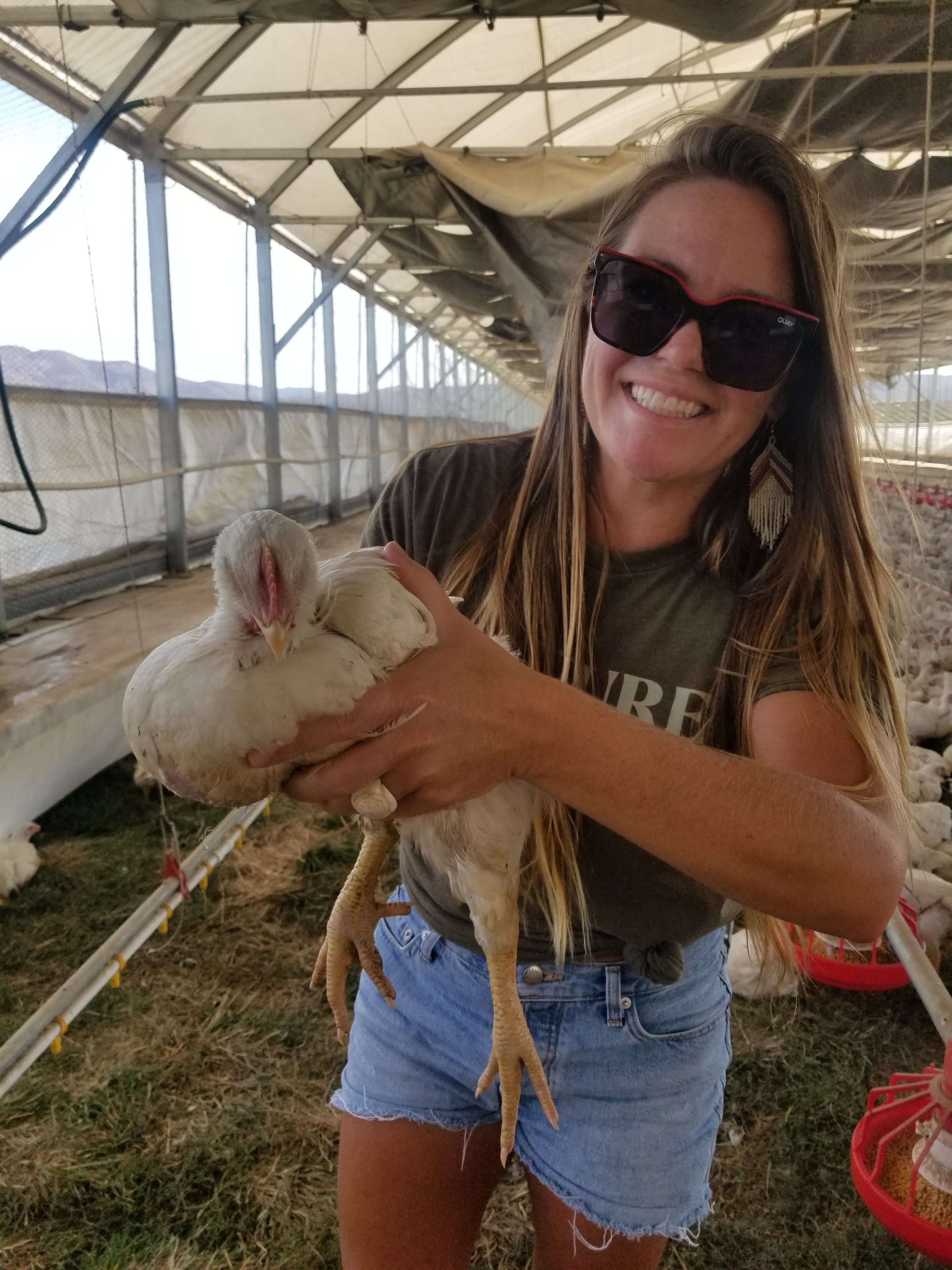 meredith in arc with pasturebird chicken