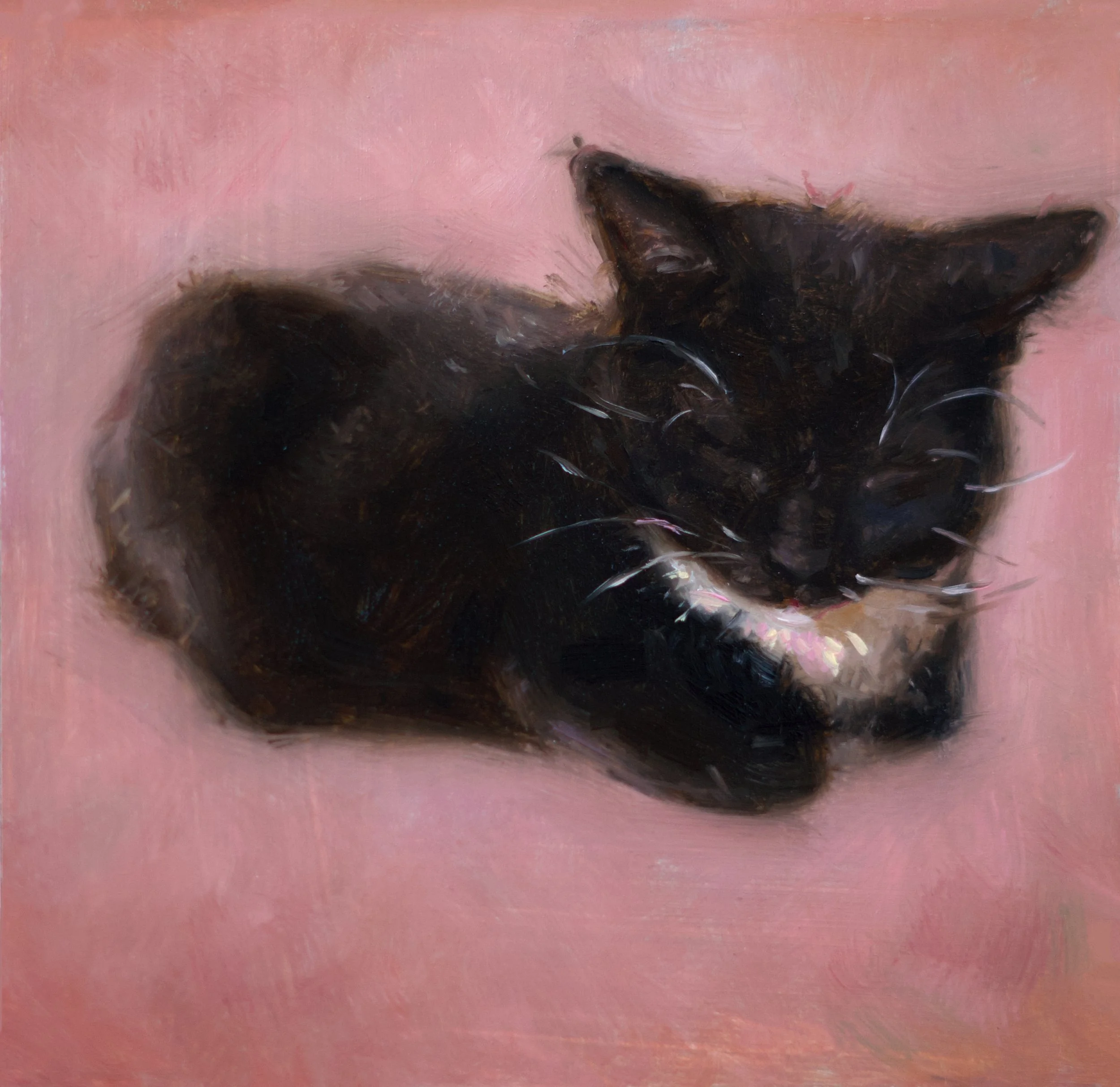 Close-up of a black cat's head with pointed ears and green eyes, set against a pink background, with detailed fur texture.