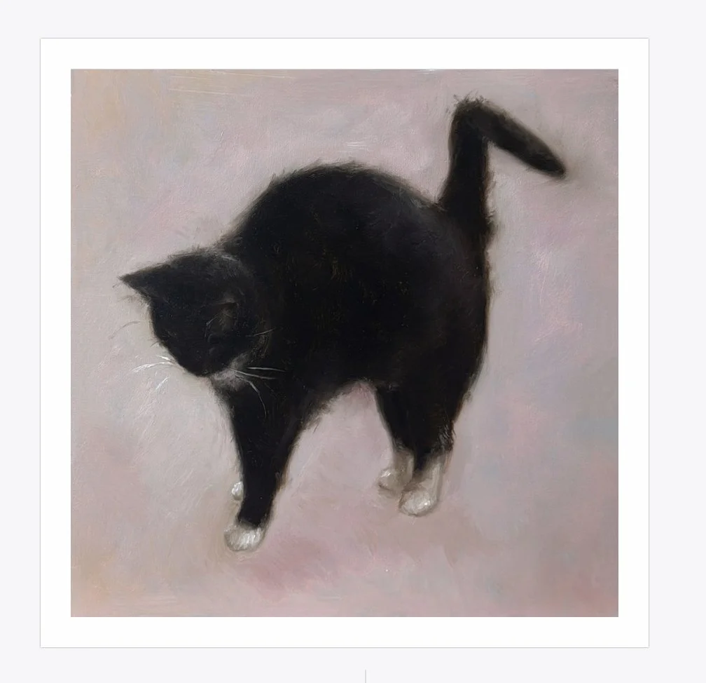 Screenshot 2026-03-01 at 8.06.19 AM.jpg