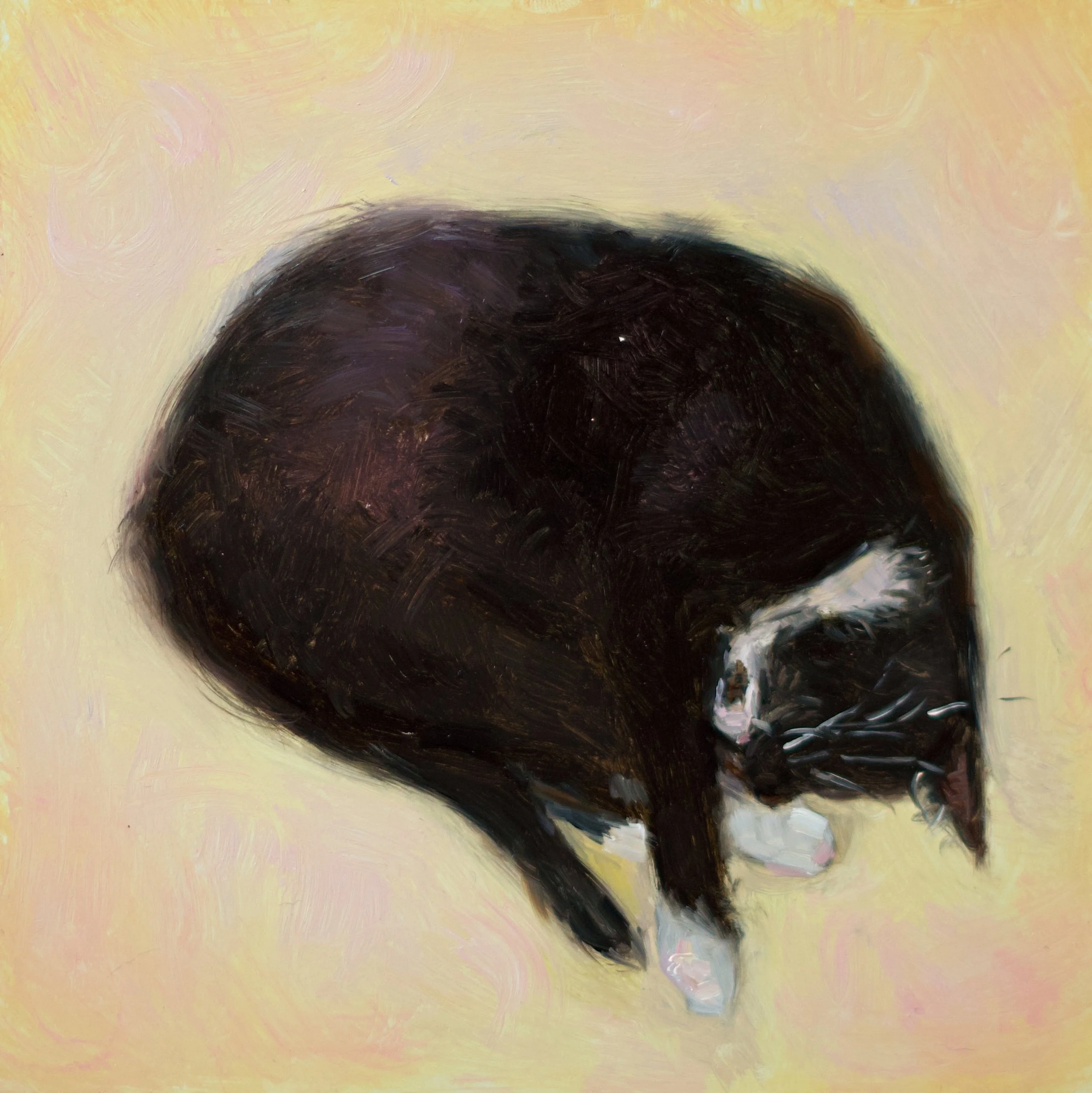 "Snore", 6x6", oil on panel, sold