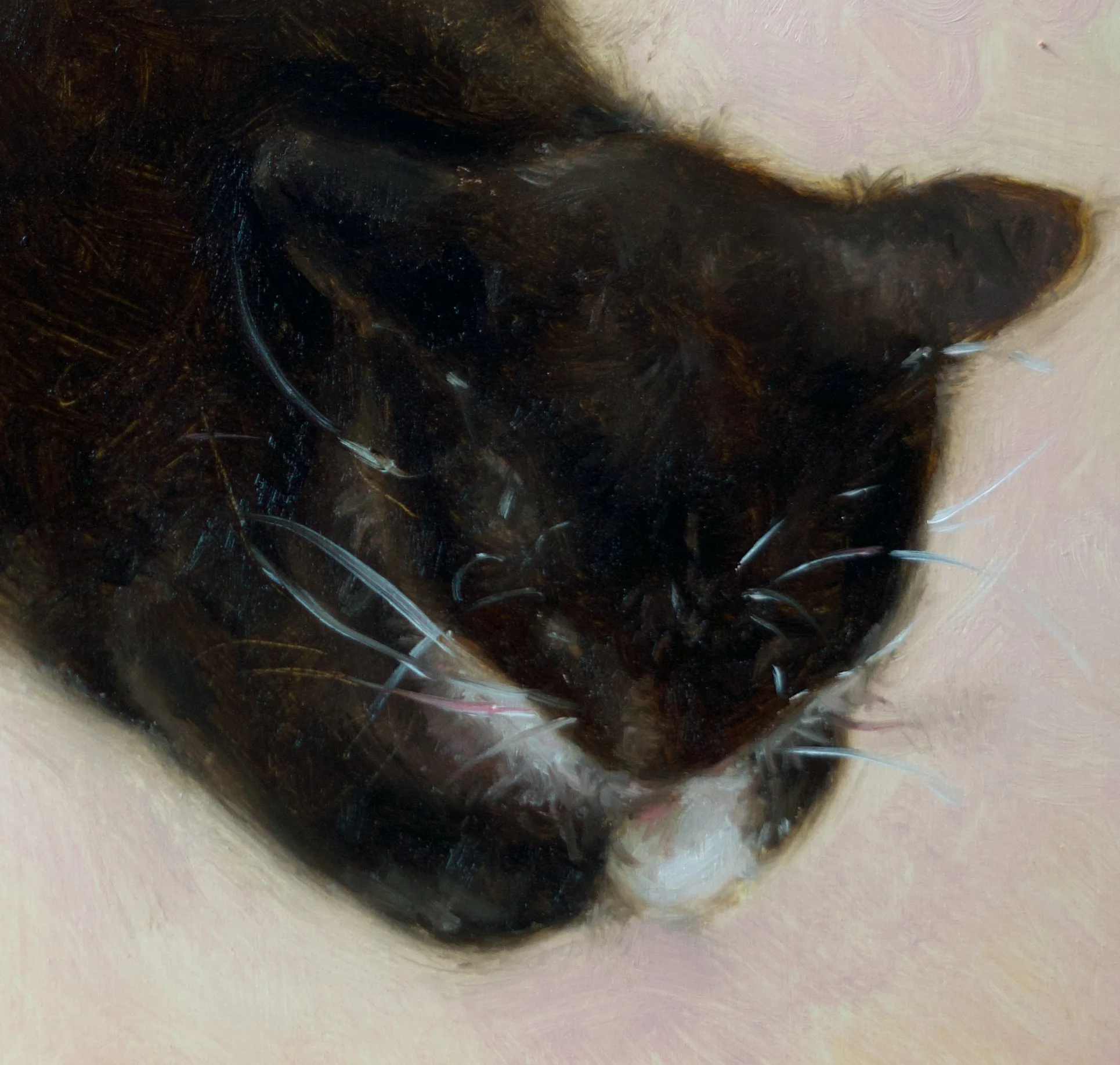 When She Loafs (detail).jpg