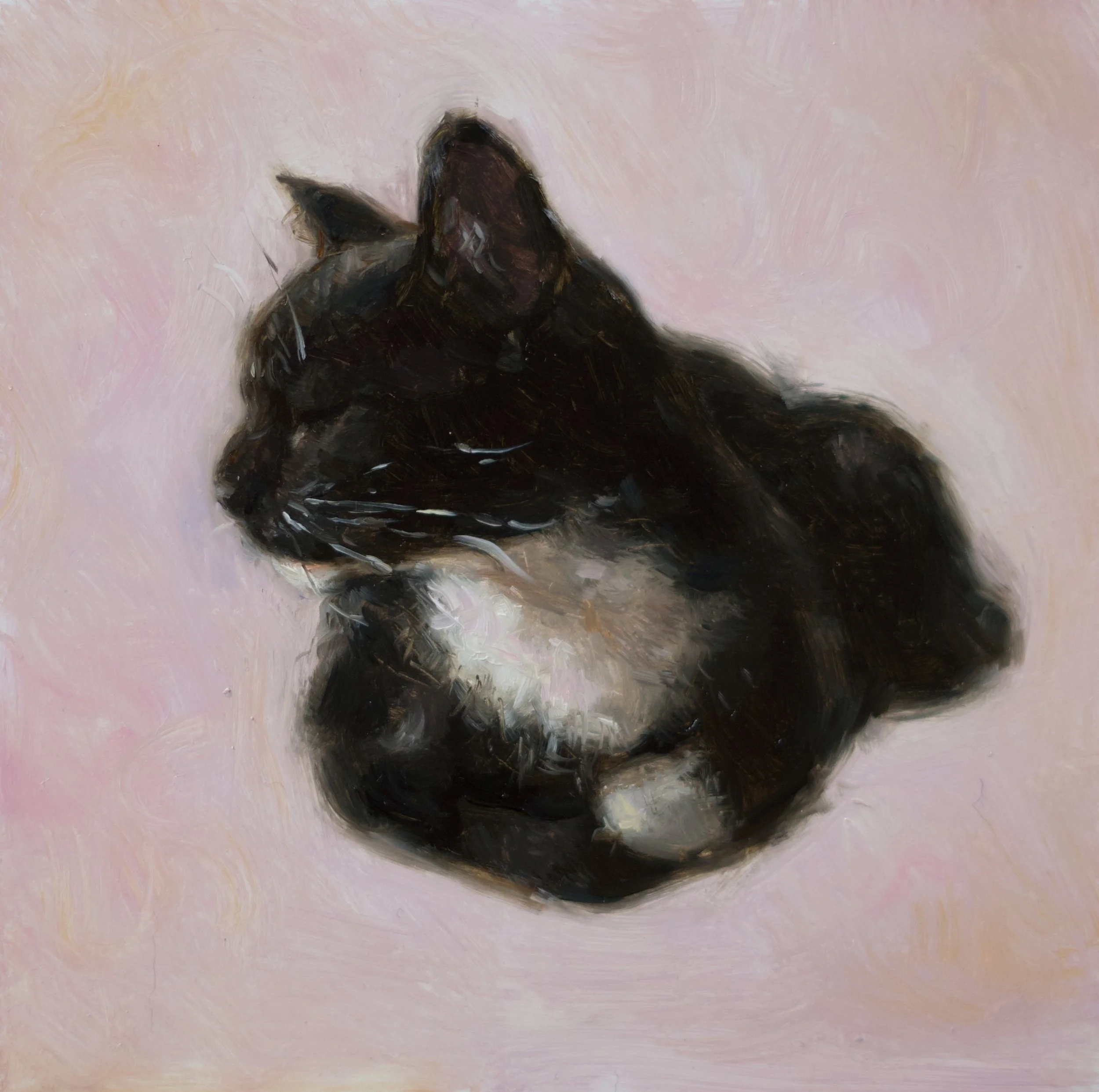 "Nap", 6x6", oil on panel, sold