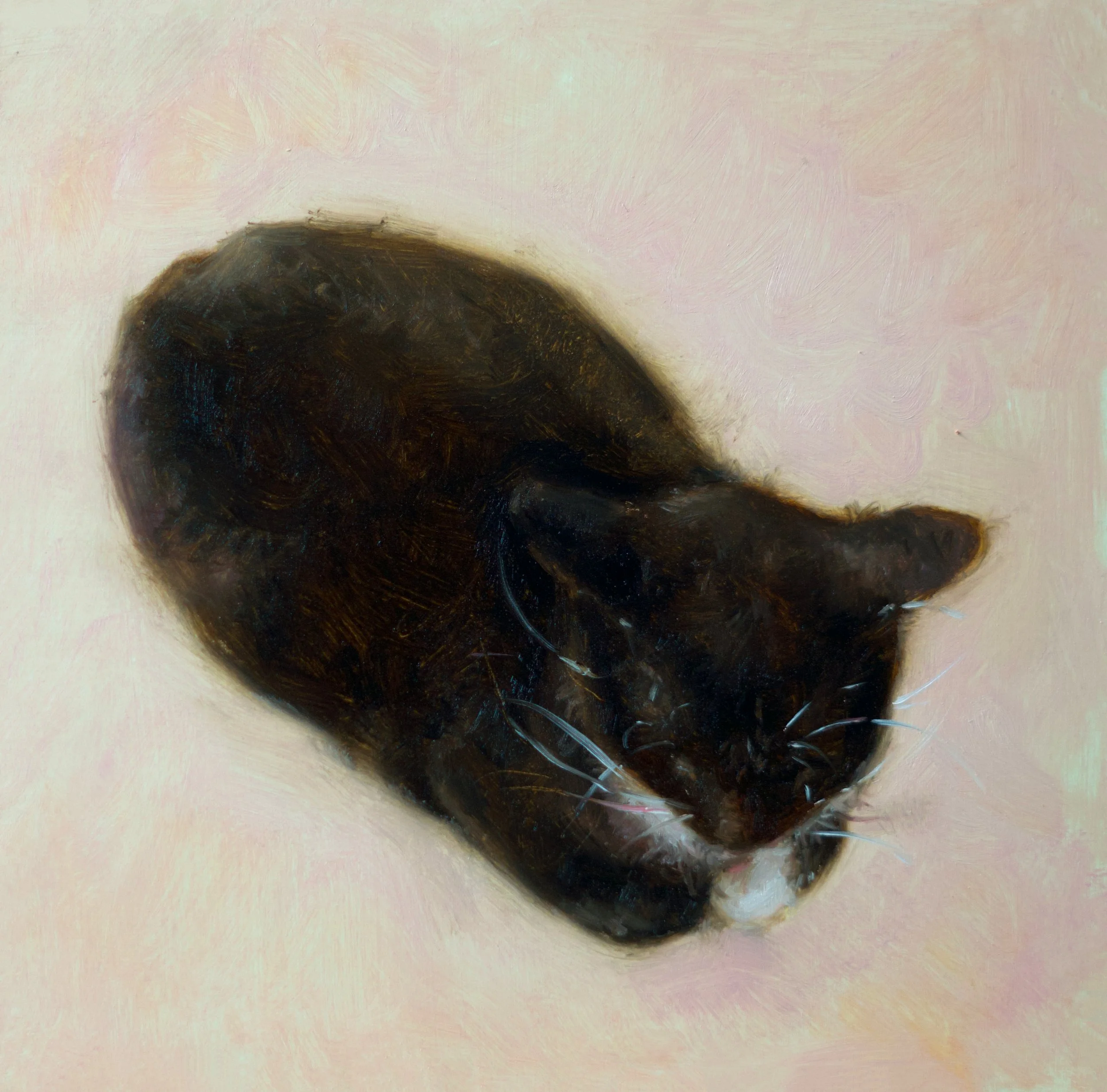 "When She Loafs", 8x8", sold