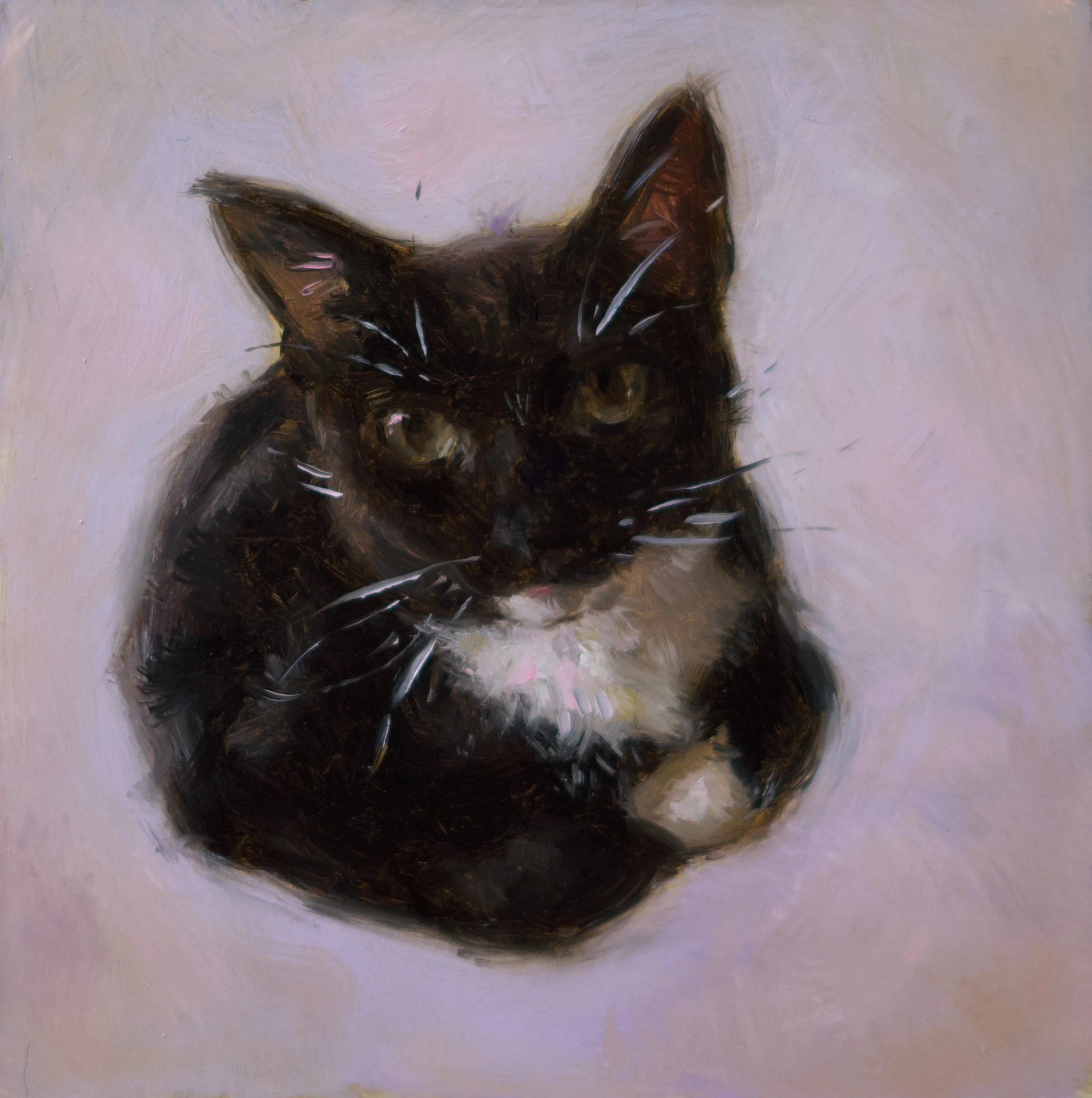 "Staring Problem", 6x6", oil on panel, sold