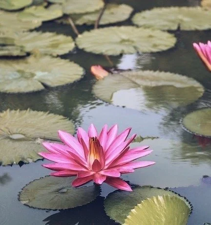 Four Steps to 'Beginning Anew' in Your Relationships