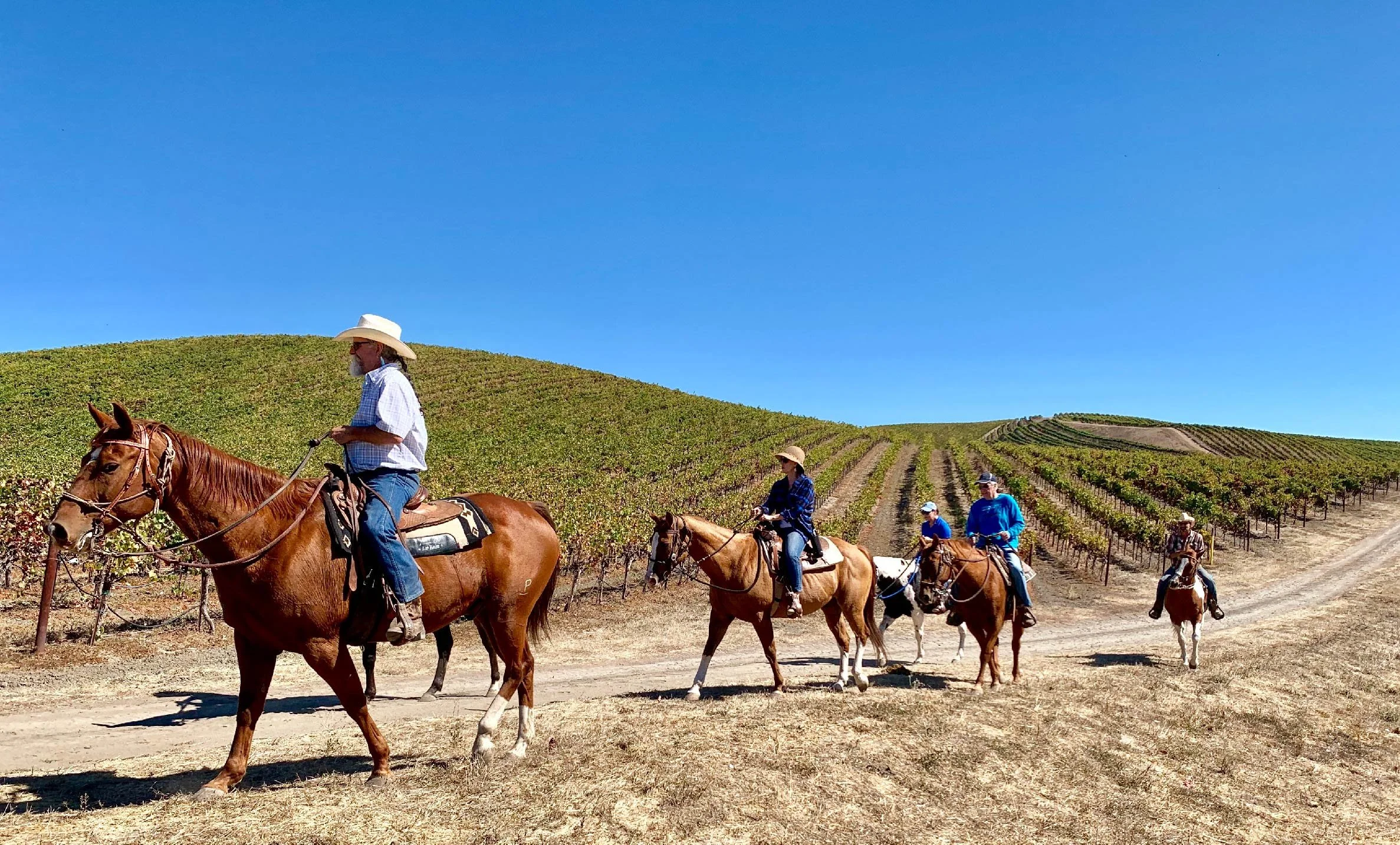 Brand activation campaign with Obsidian wine company and cogs and marvel, with clients riding horses and exploring the wine country.