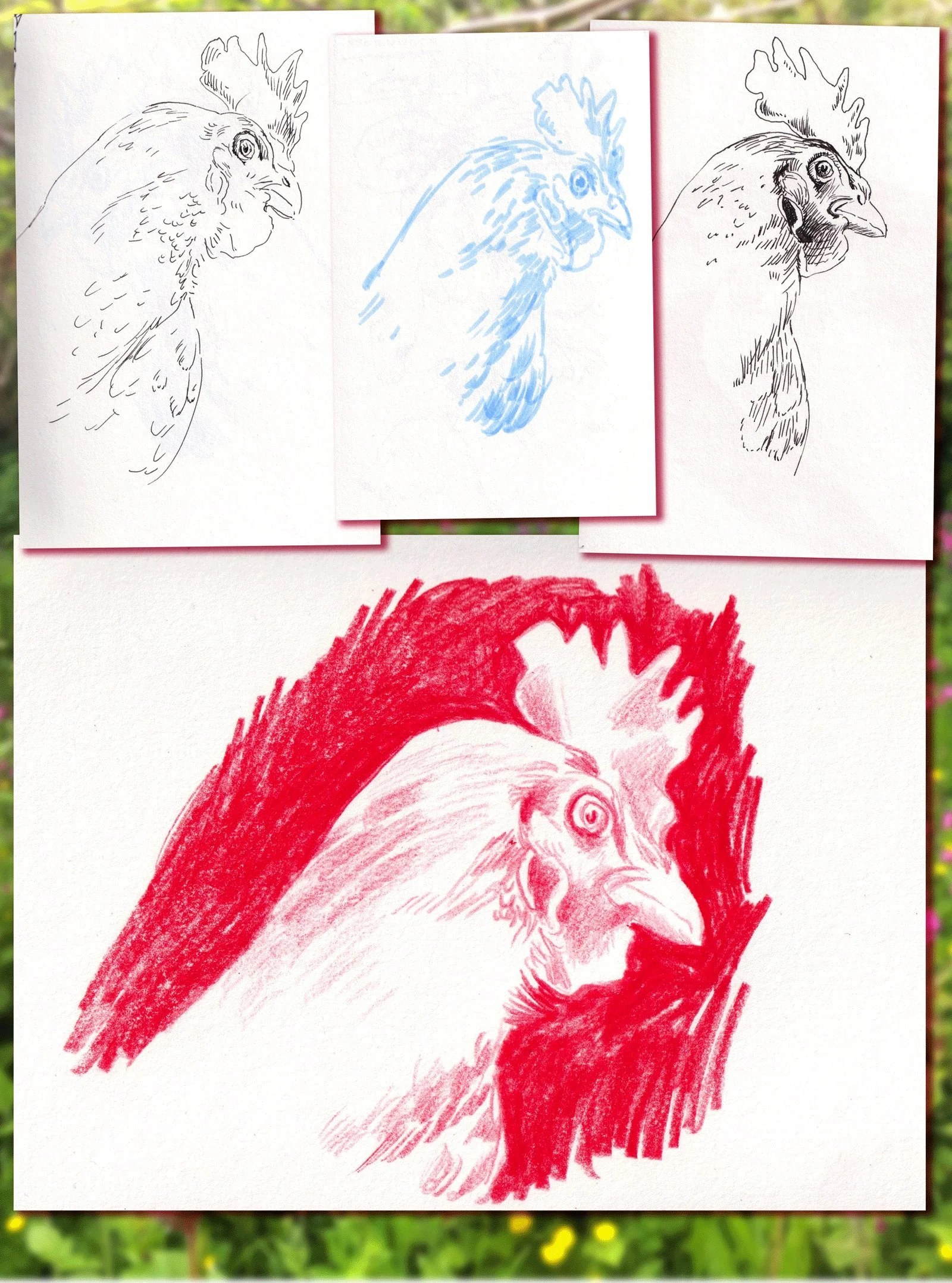 Many hens! 🐤

#illustration #pencildrawing #chicken