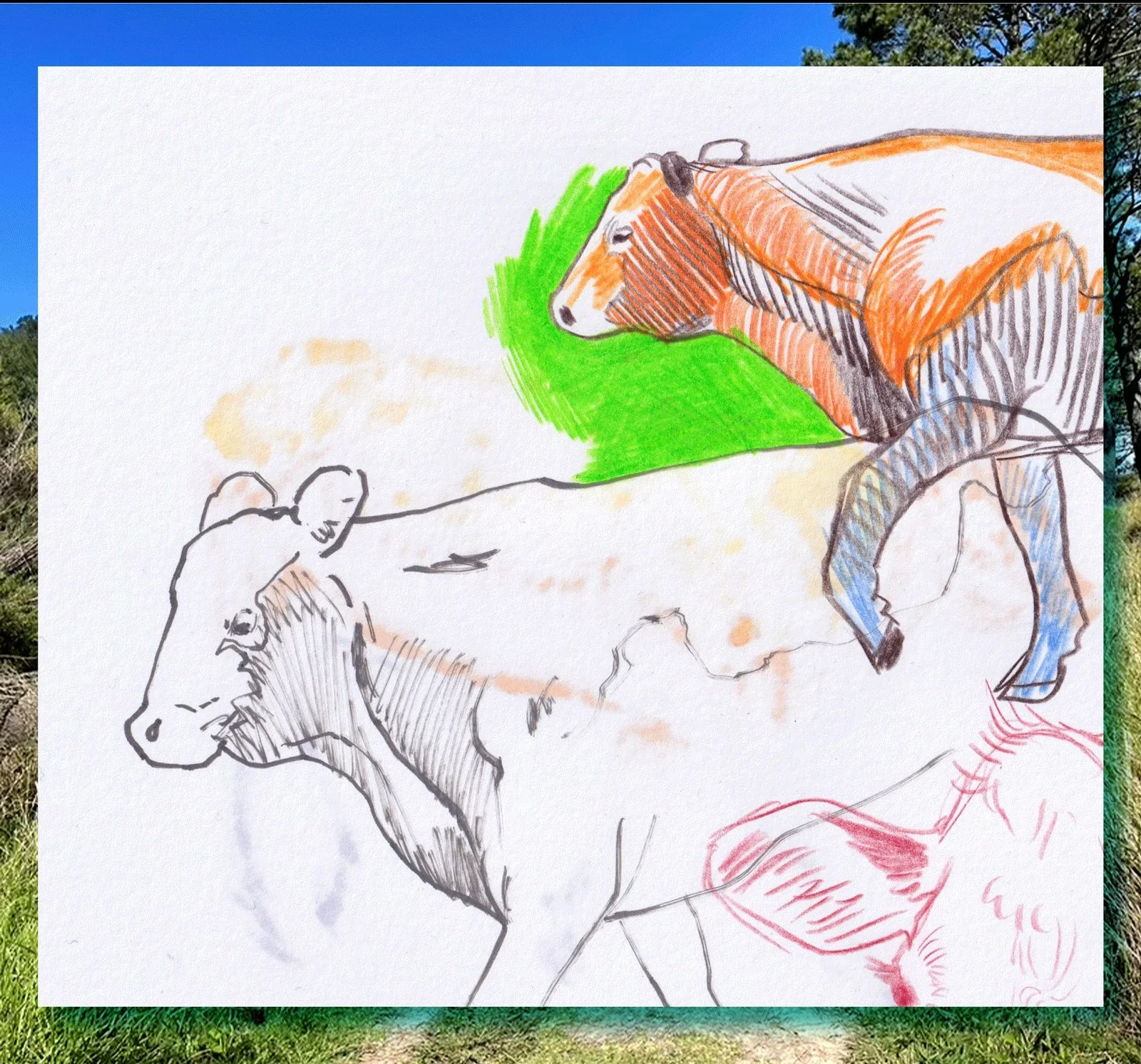 Cute cows

#pencil #animalart #sketchbook