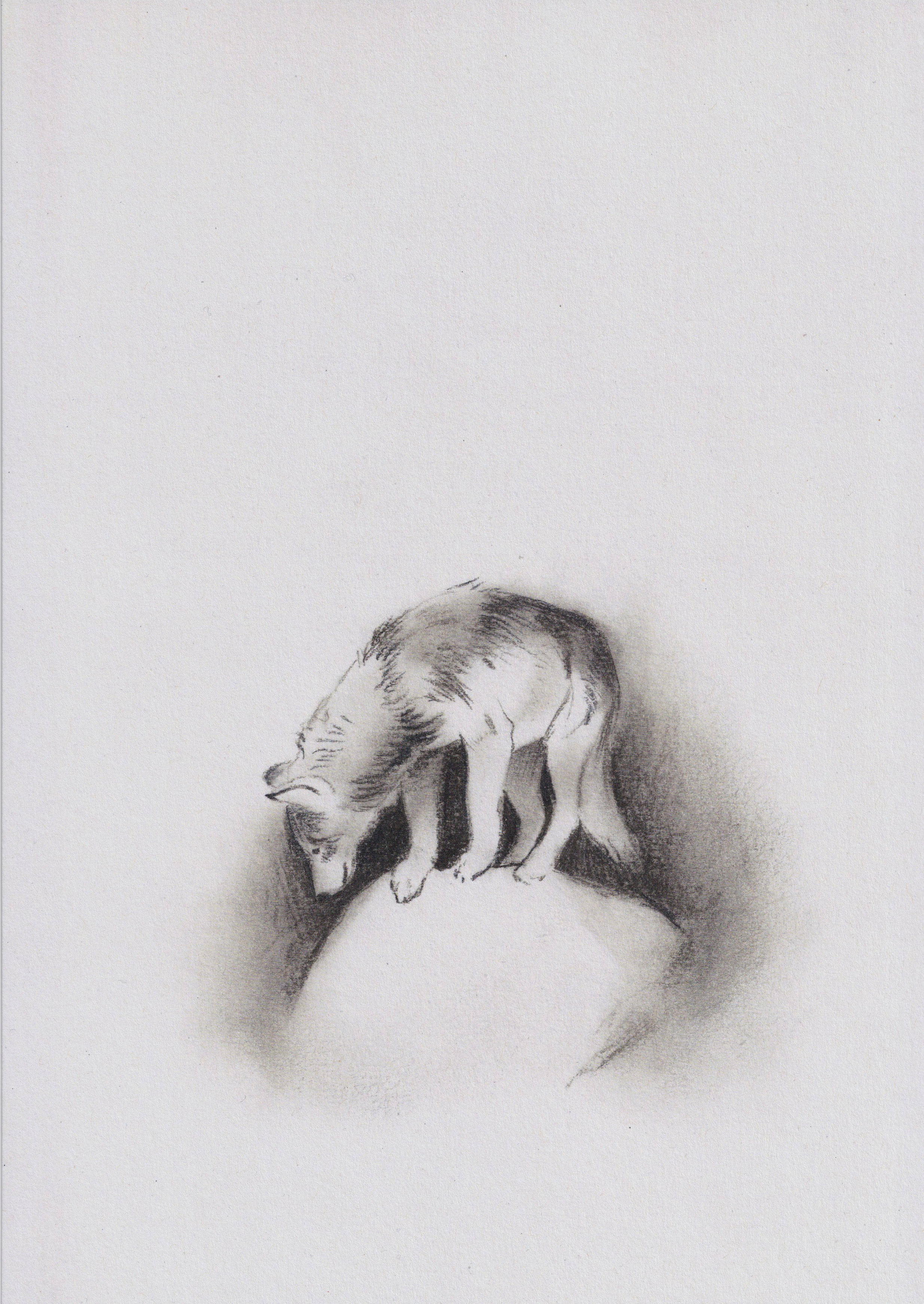 Wolf - A4