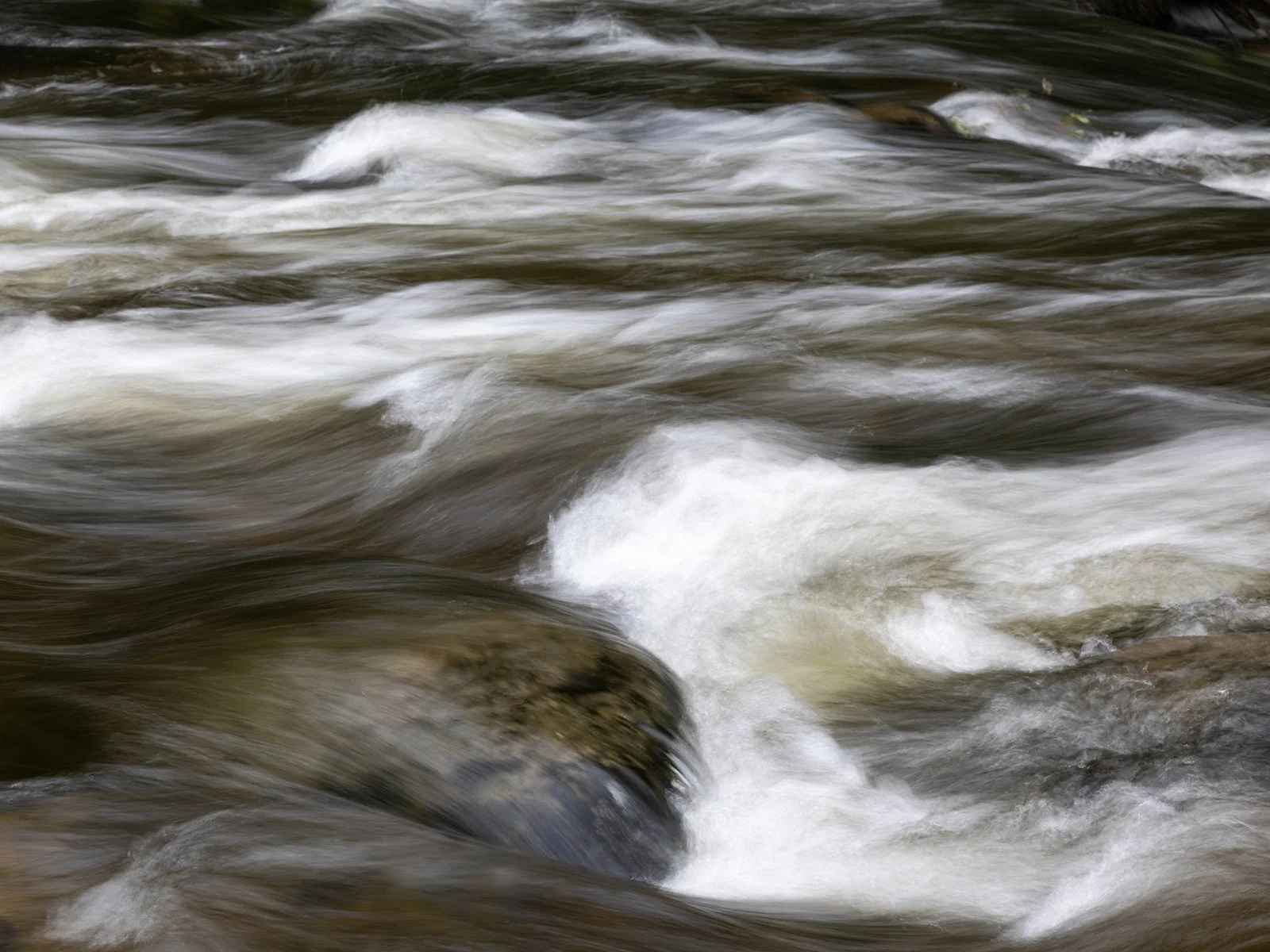 003_Dartmoor Waters_Tony Oliver