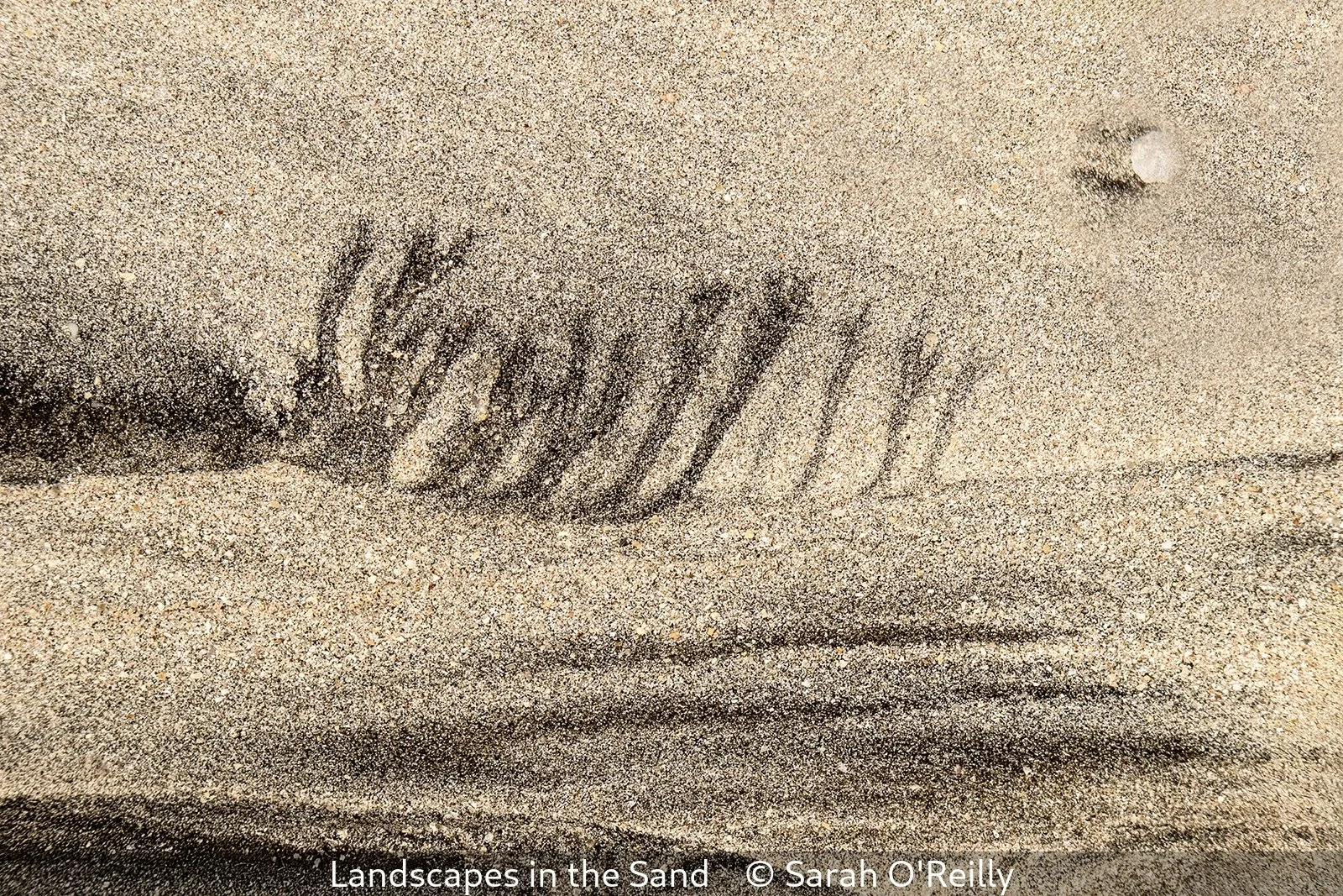 First_Landscapes in the Sand_Sarah O'Reilly