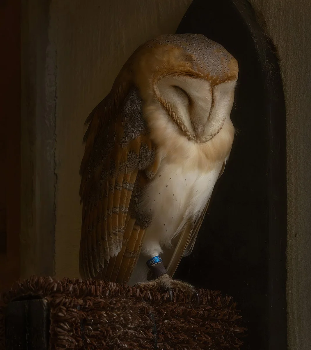 First_Quiet Repose_Sarah O'Reilly