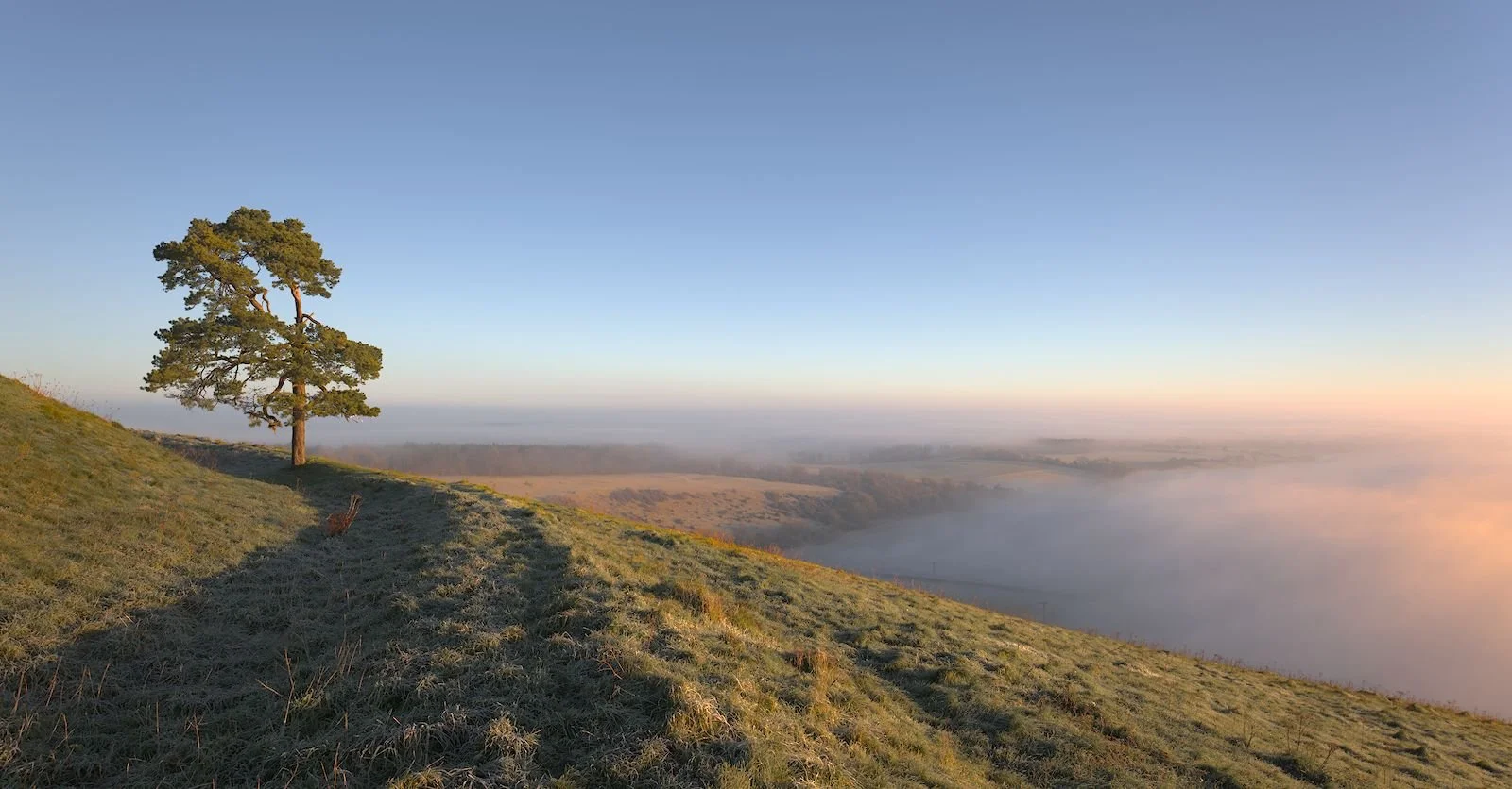 009_Martinsell Hill_Thomas Wicks