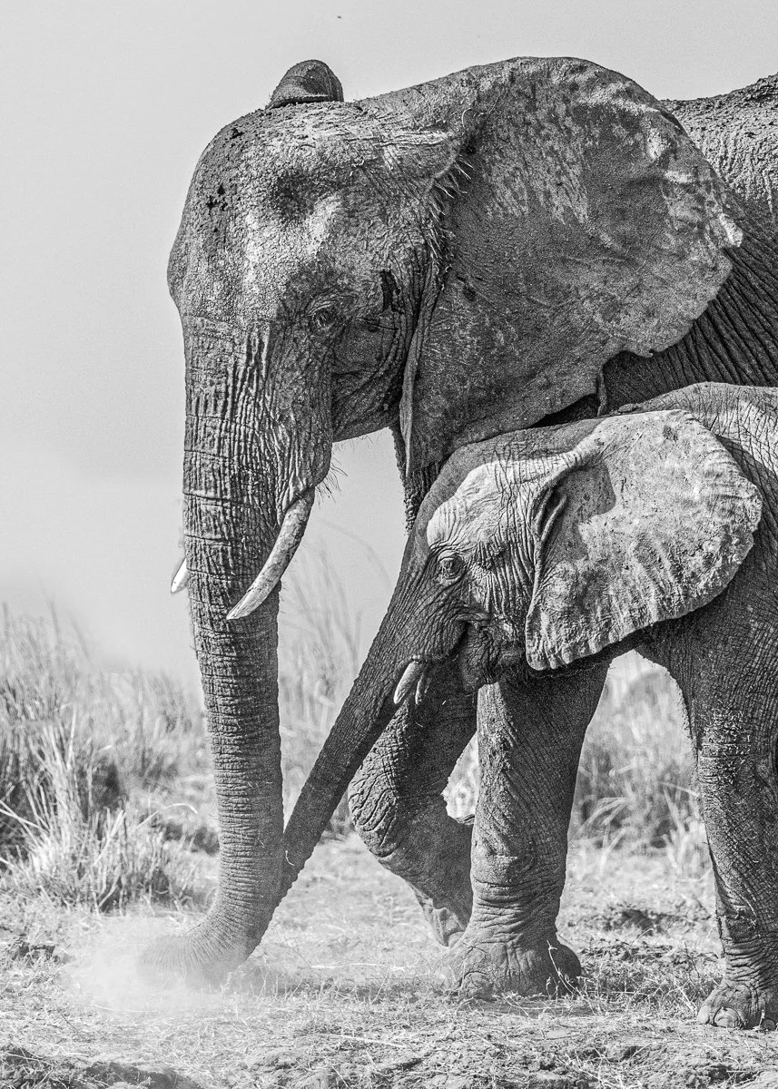 Second_Togetherness_Jeremy Court