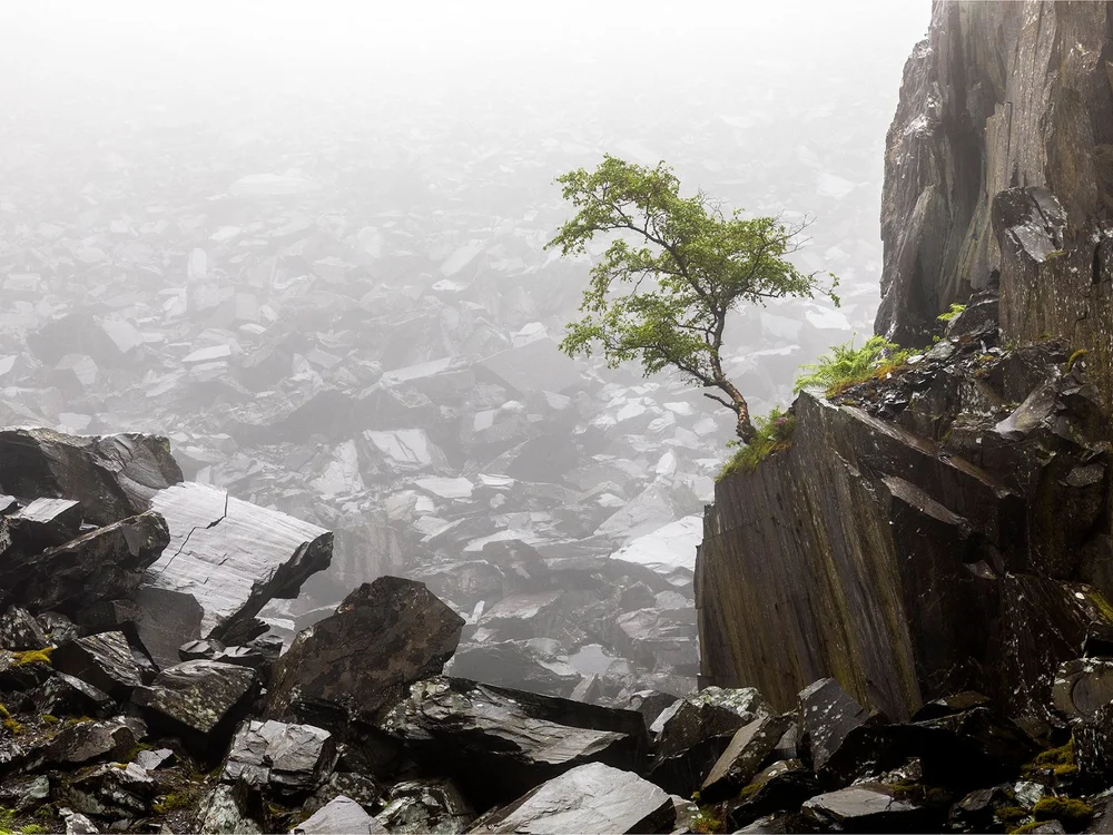 Paul Rigg Artist SCPF PDI League 22-23 — Salisbury Photography Club