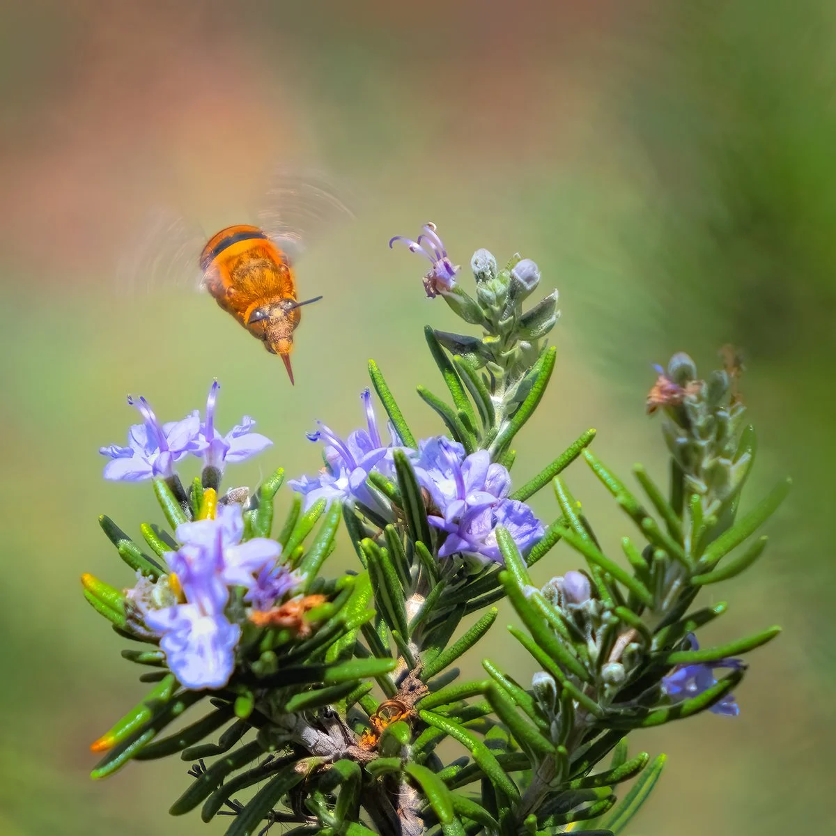 Third_Incoming_Kevin Payne