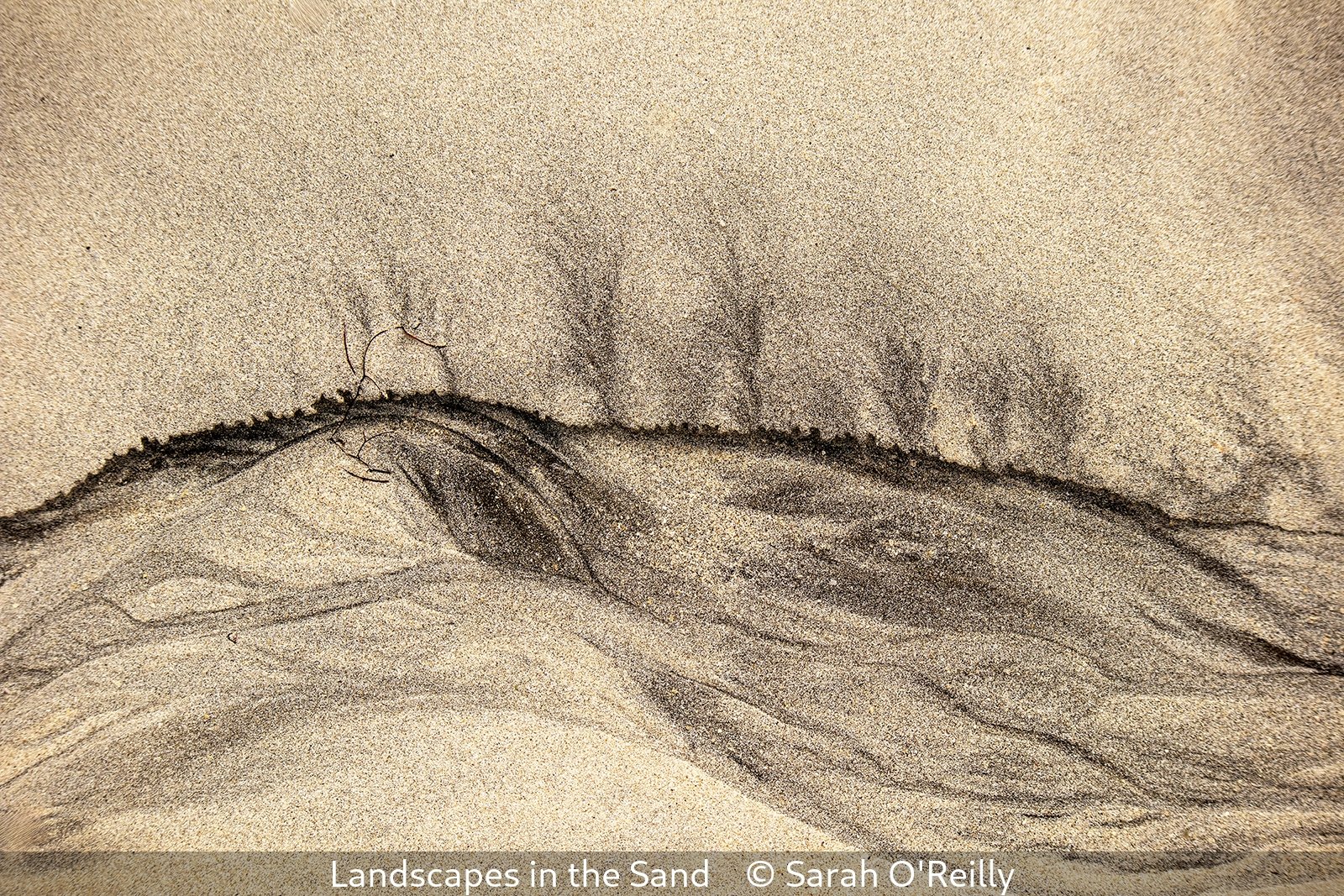 First_Landscapes in the Sand_Sarah O'Reilly