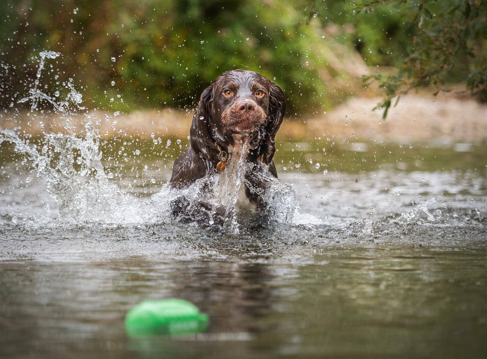 Highly Commended_Making a Splash_Emma Webber