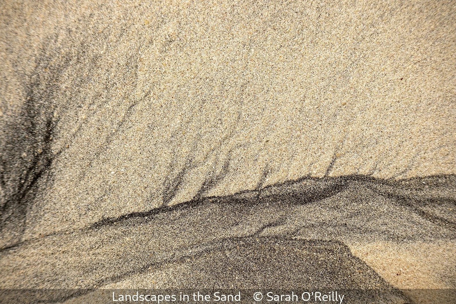 First_Landscapes in the Sand_Sarah O'Reilly