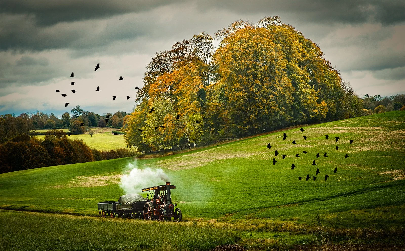 Third_Back In The Day_Nigel Bealey