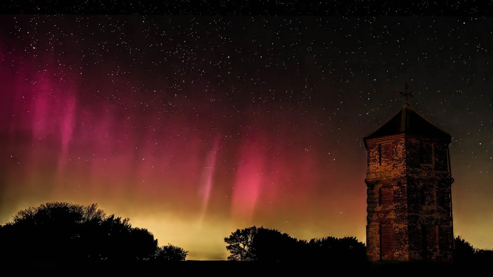 001_Aurora Pepperboxalis_Rachel Allcock