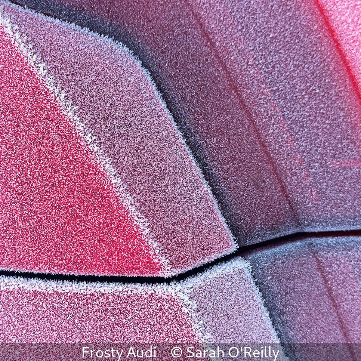 Second_Frosty Audi_Sarah O'Reilly