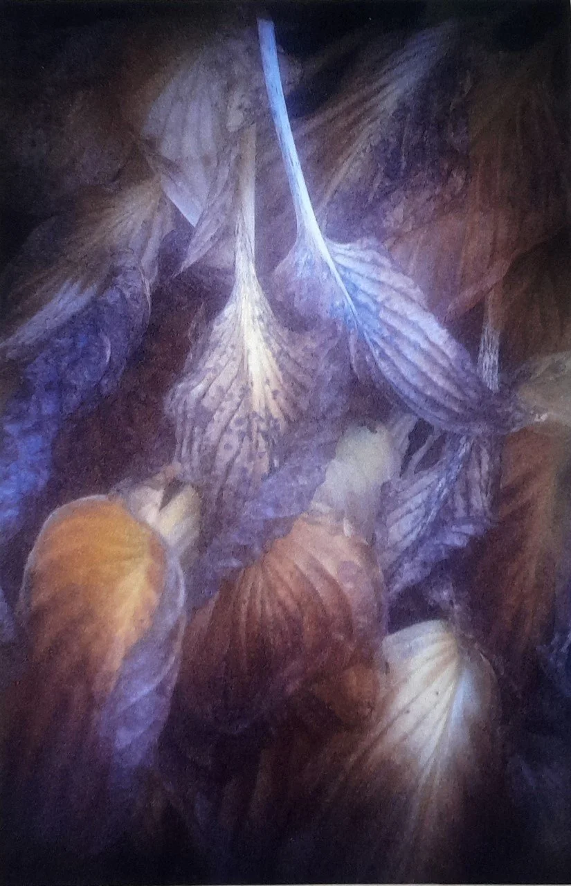 First 'Hosta Leaf Pattern' by Peter Read