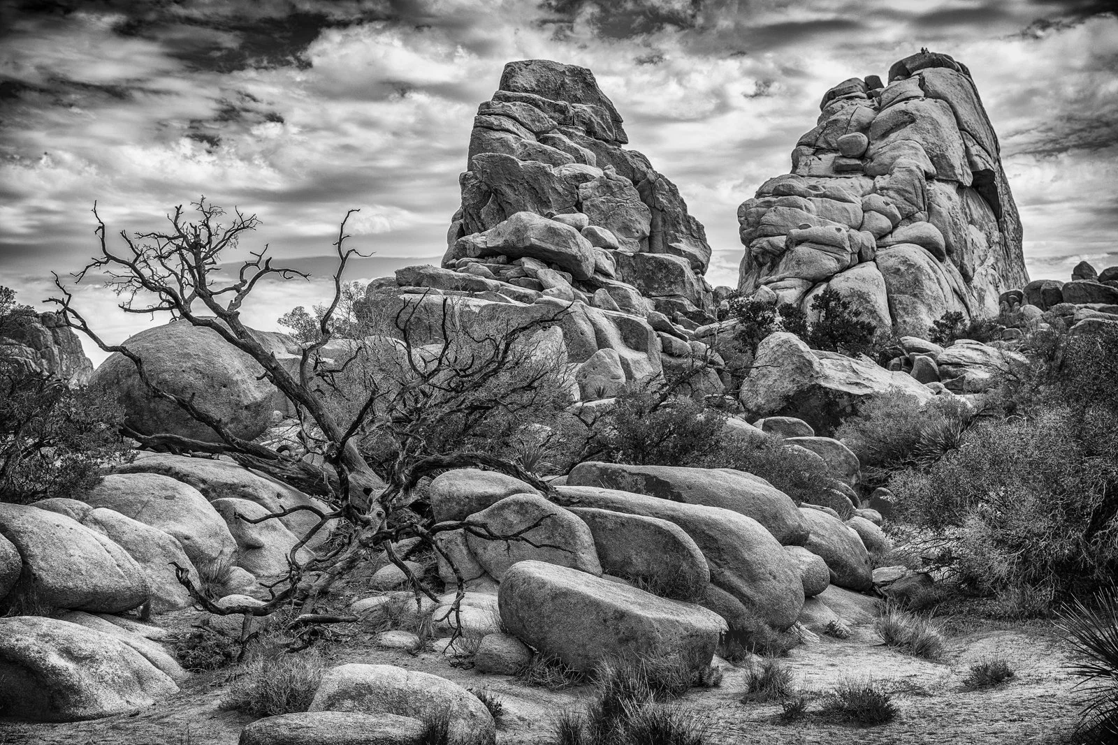 003_In Joshua Tree National Park_Mike Brown.jpg