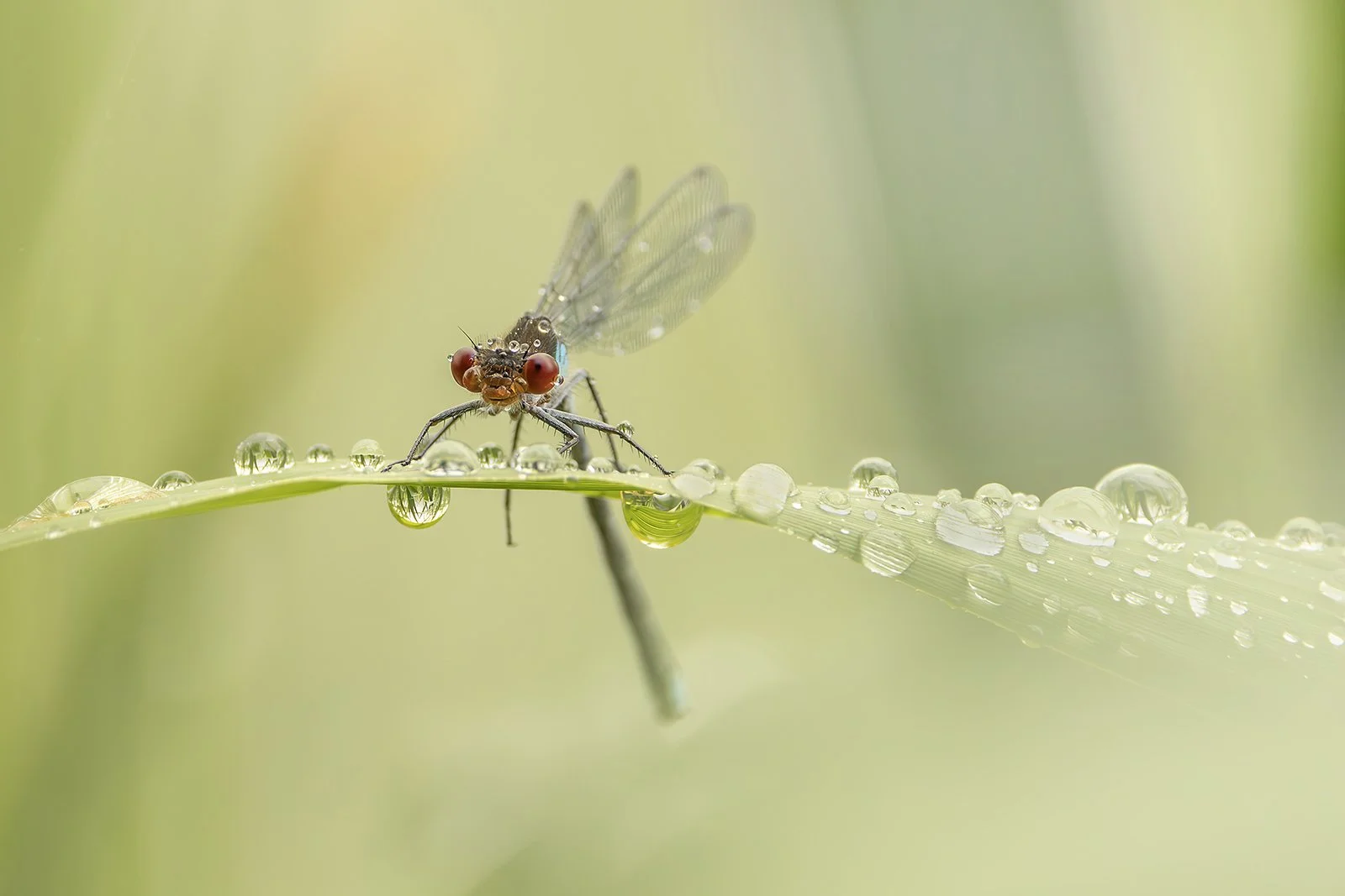 001_Waiting for the sunshine_Tony O'Reilly