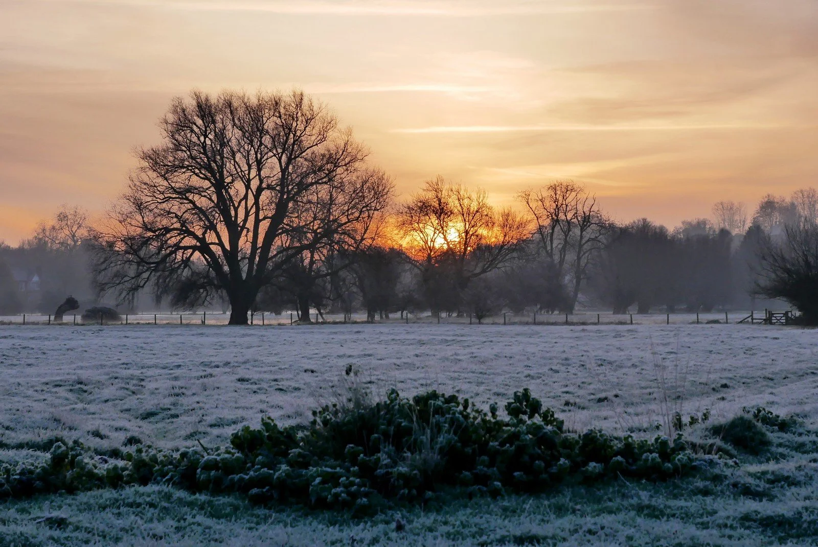 001_Water Meadows Winter_Peter Woodhouse