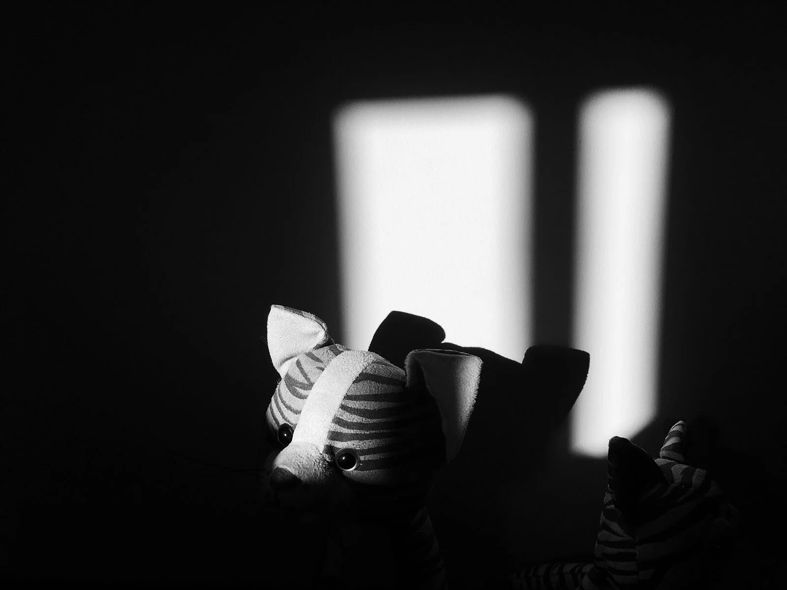 First 'Lurking in the shadows' by Shaun Duke