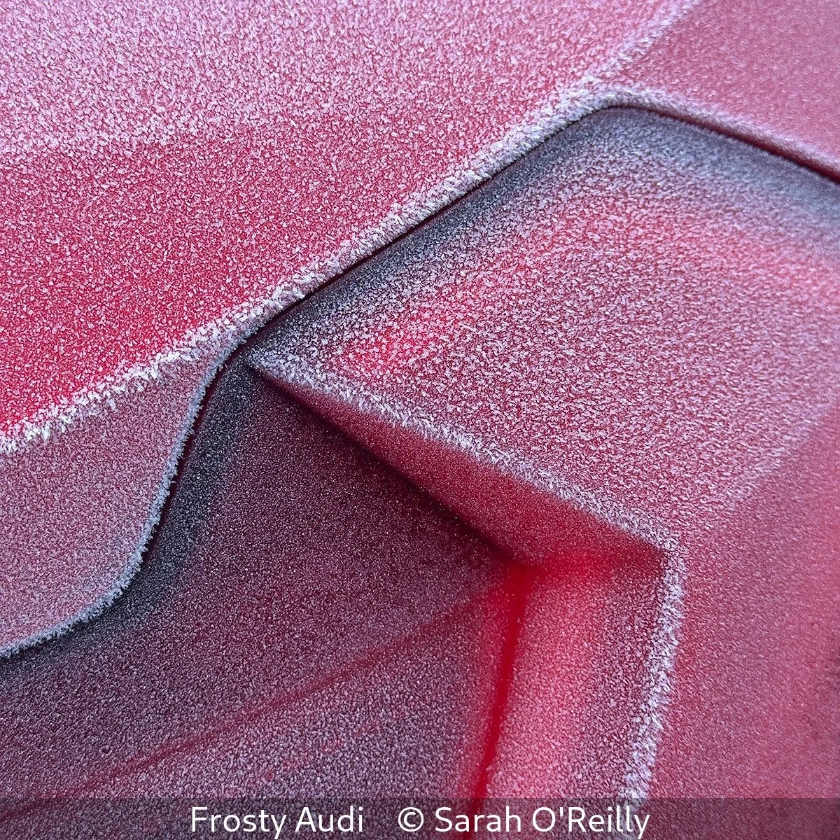Second_Frosty Audi_Sarah O'Reilly